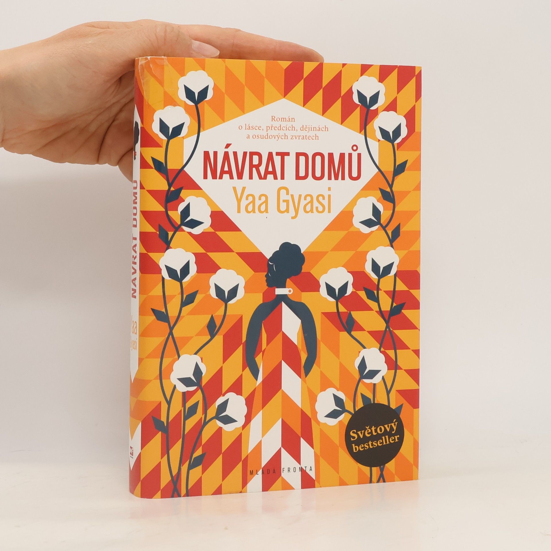 Yaa Gyasi Návrat domů