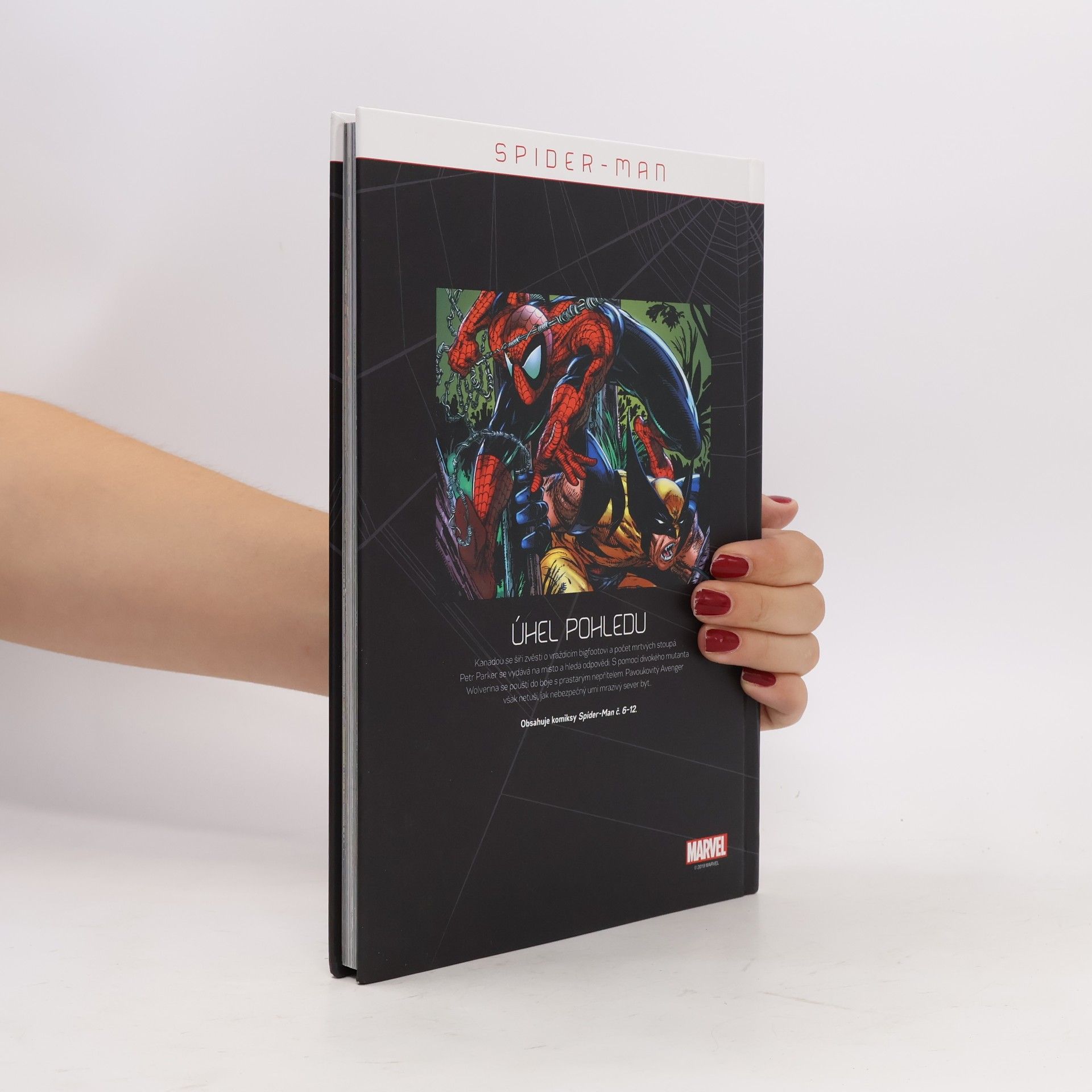 Todd McFarlane Spider-Man 1. Úhel pohledu
