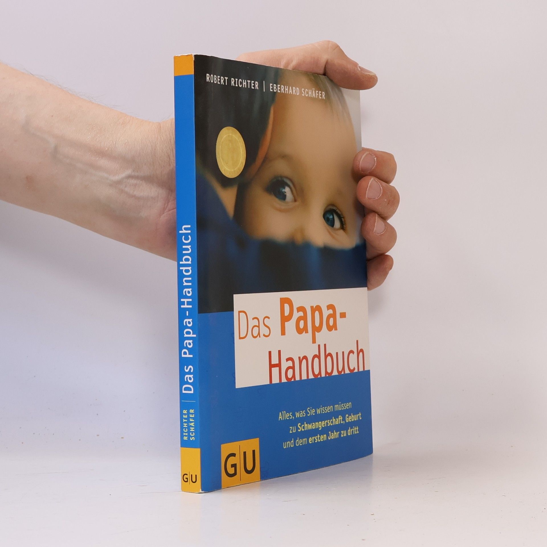Robert Richter Das Papa-Handbuch