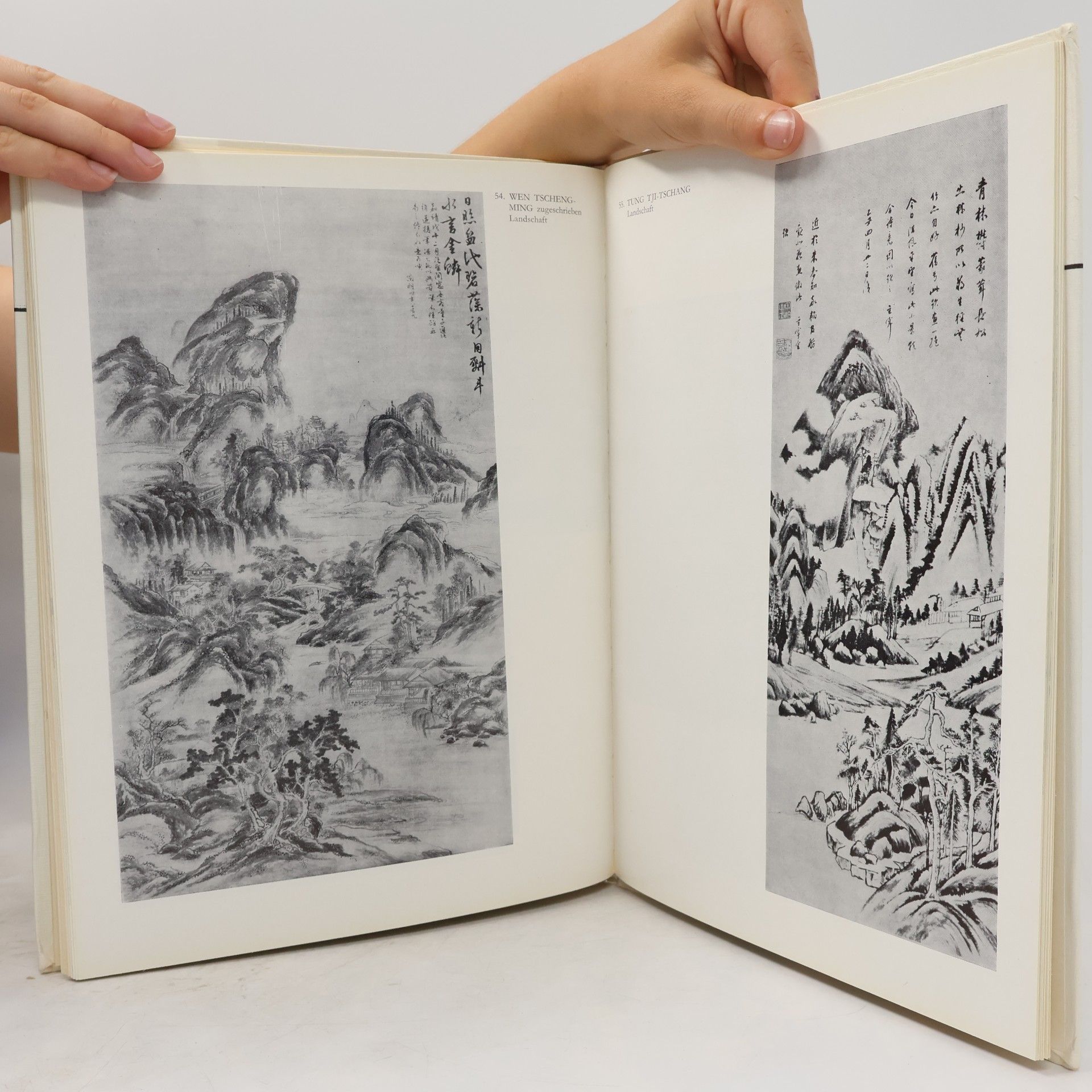 Collectif d'auteurs Die klassische chinesische Malerei