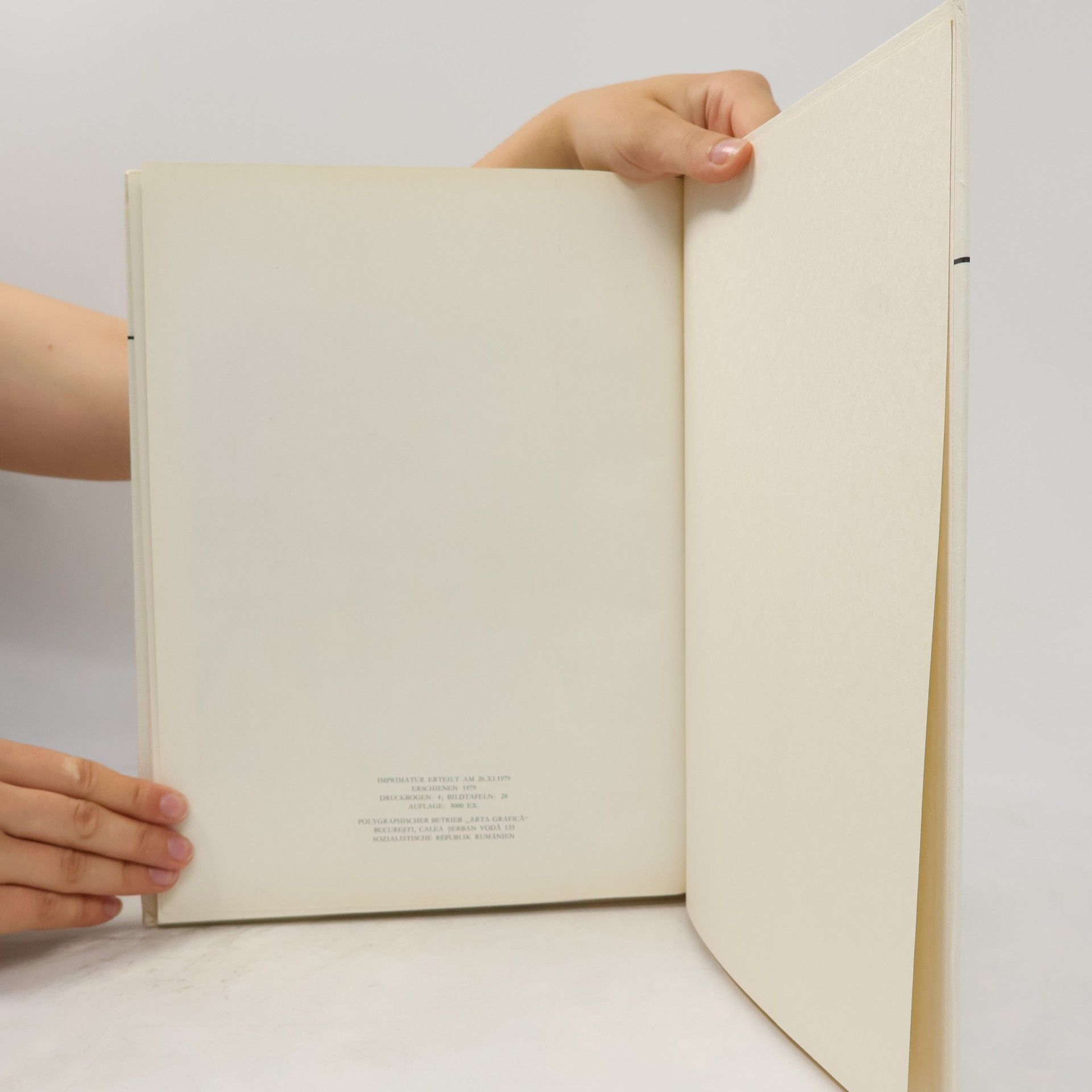 Collectif d'auteurs Die klassische chinesische Malerei