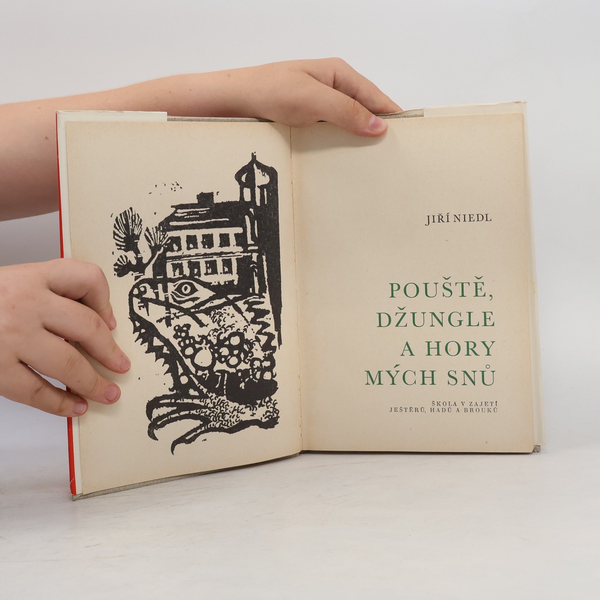 Jiří Niedl Pouště, džungle a hory mých snů. Škola v zajetí ještěrů, hadů a brouků