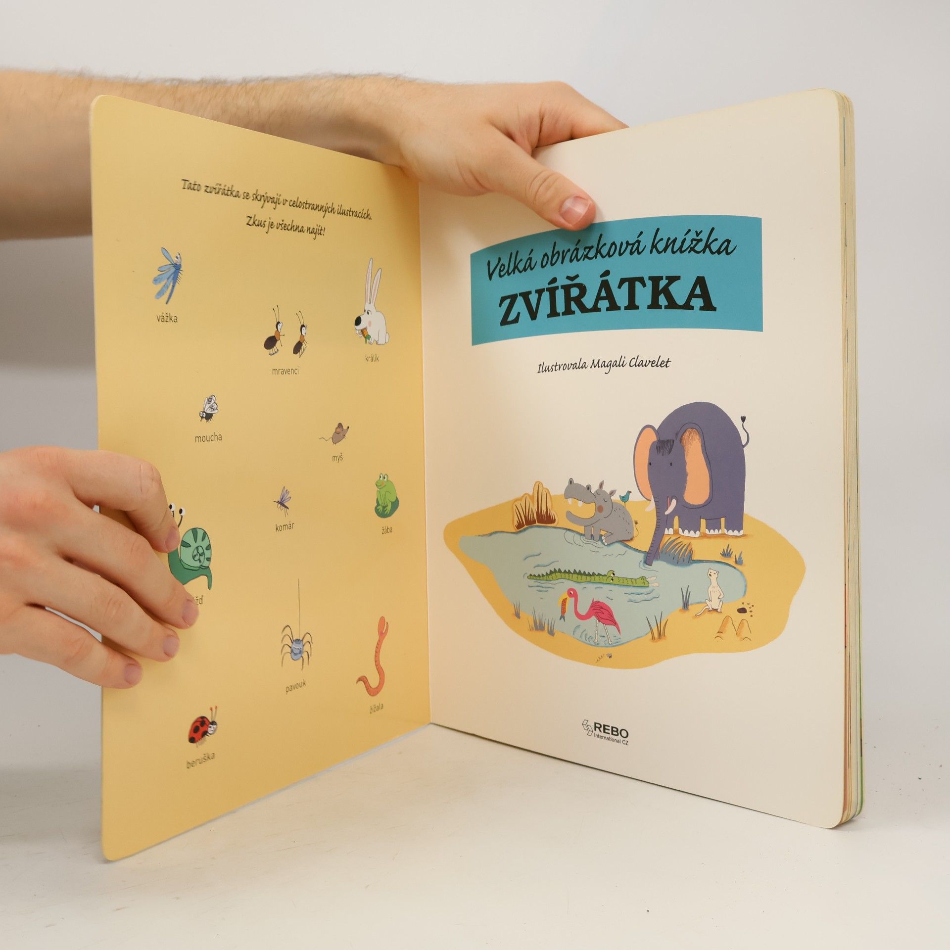 Magali Clavelet Zvířátka : velká obrázková knížka