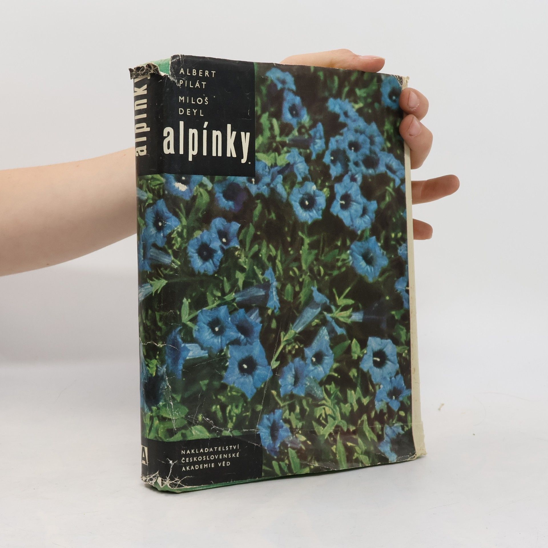 Alpínky