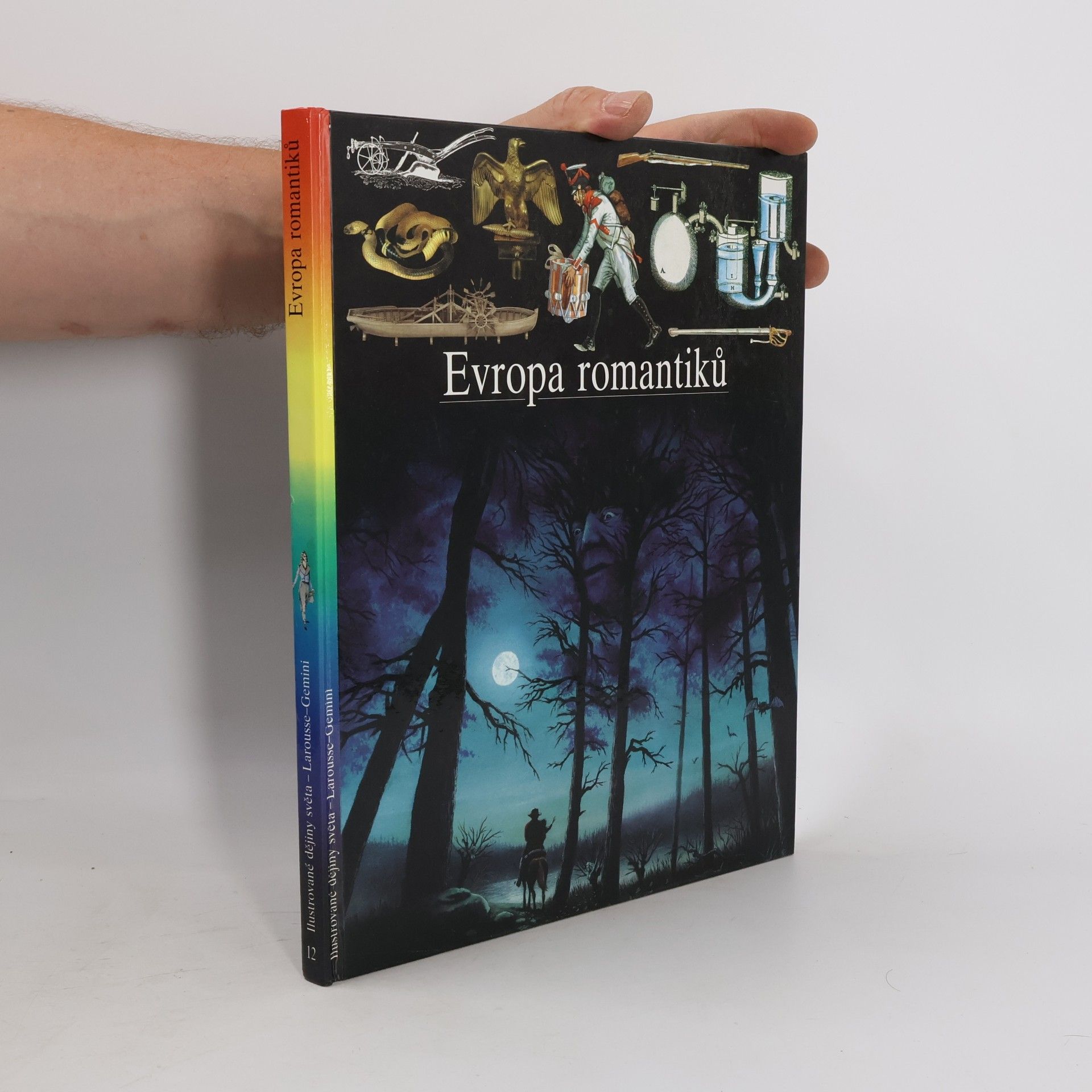 Kolektiv autorů Evropa romantiků
