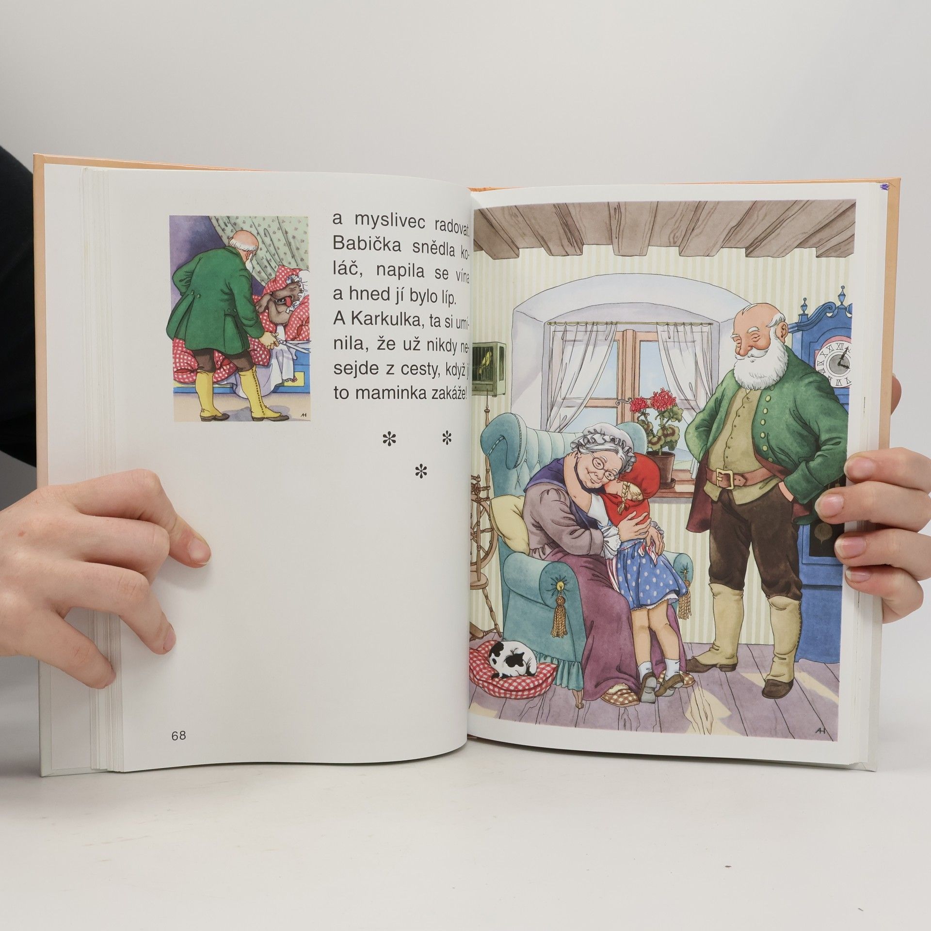 Jacob Grimm Nejkrásnější pohádky bratří Grimmů