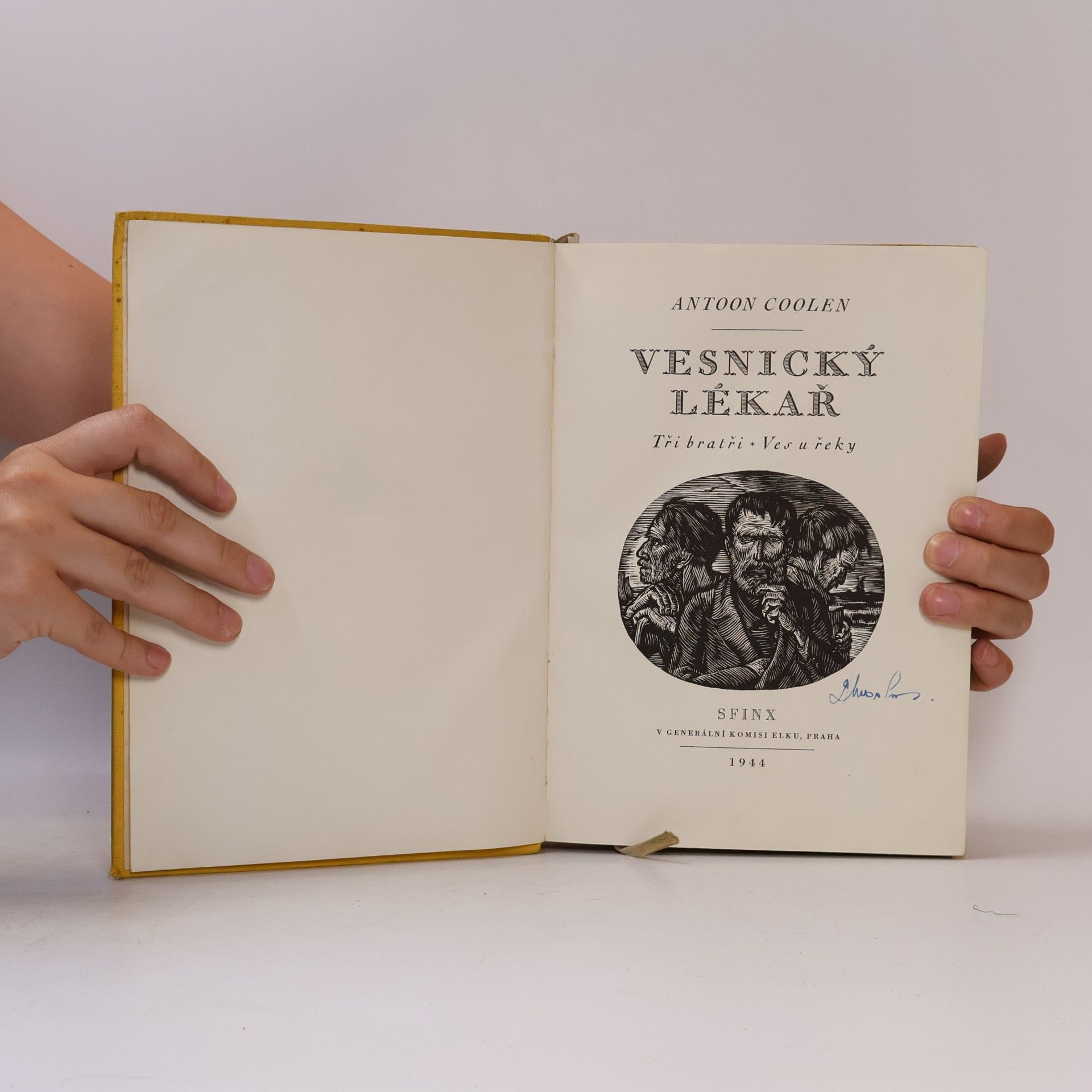 Antoon Coolen Vesnický lékař