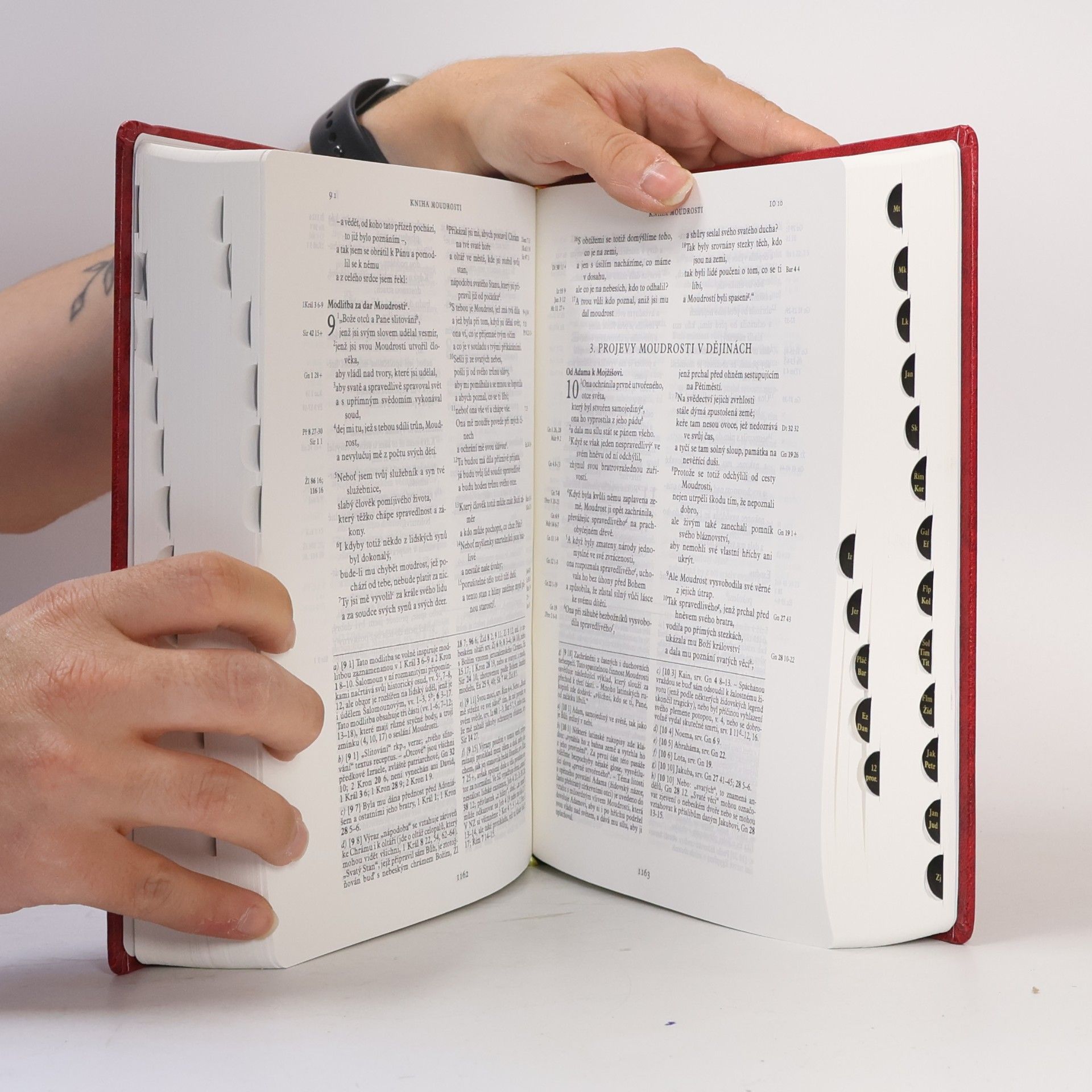 Collectif d'auteurs Jeruzalémská Bible