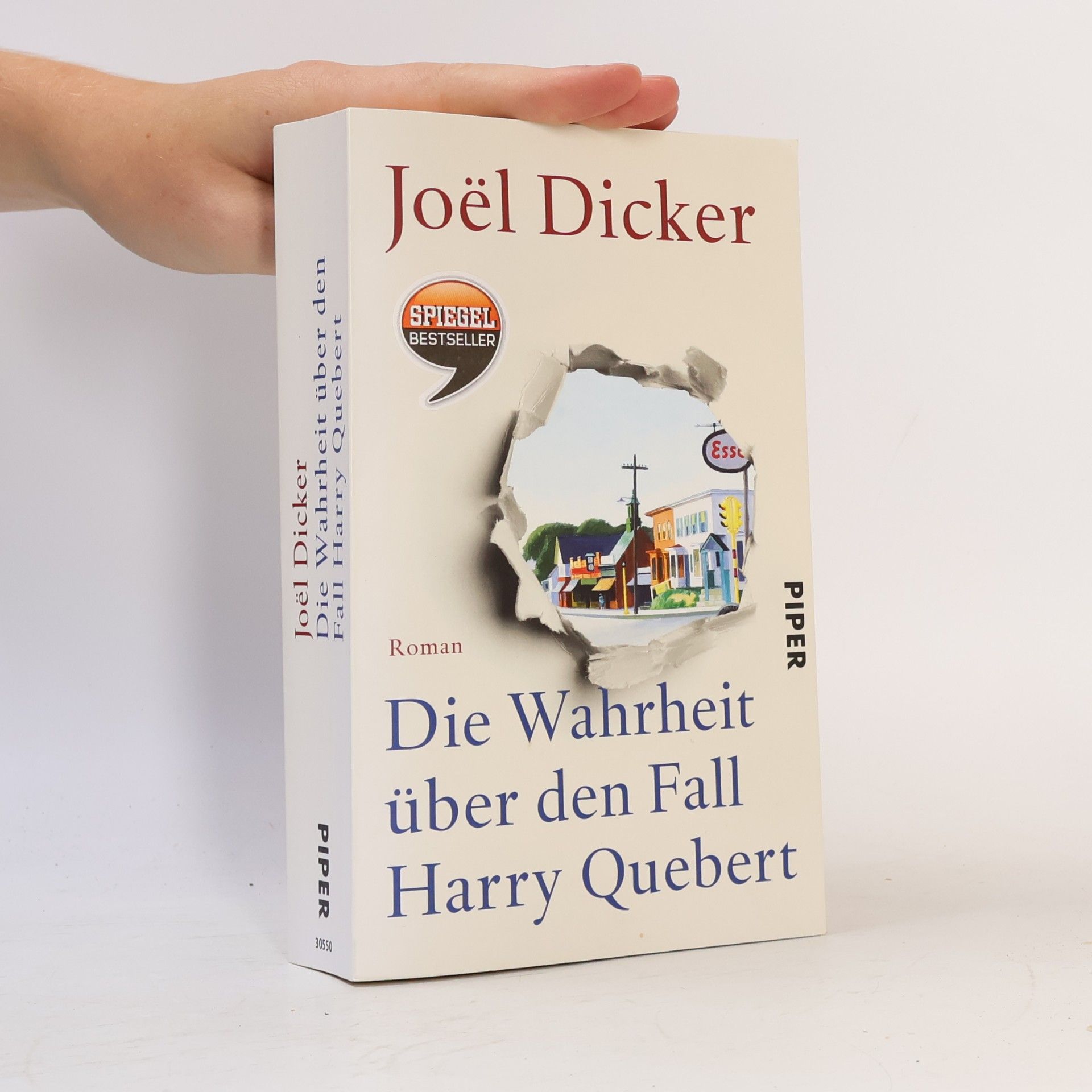 Die Wahrheit über den Fall Harry Quebert