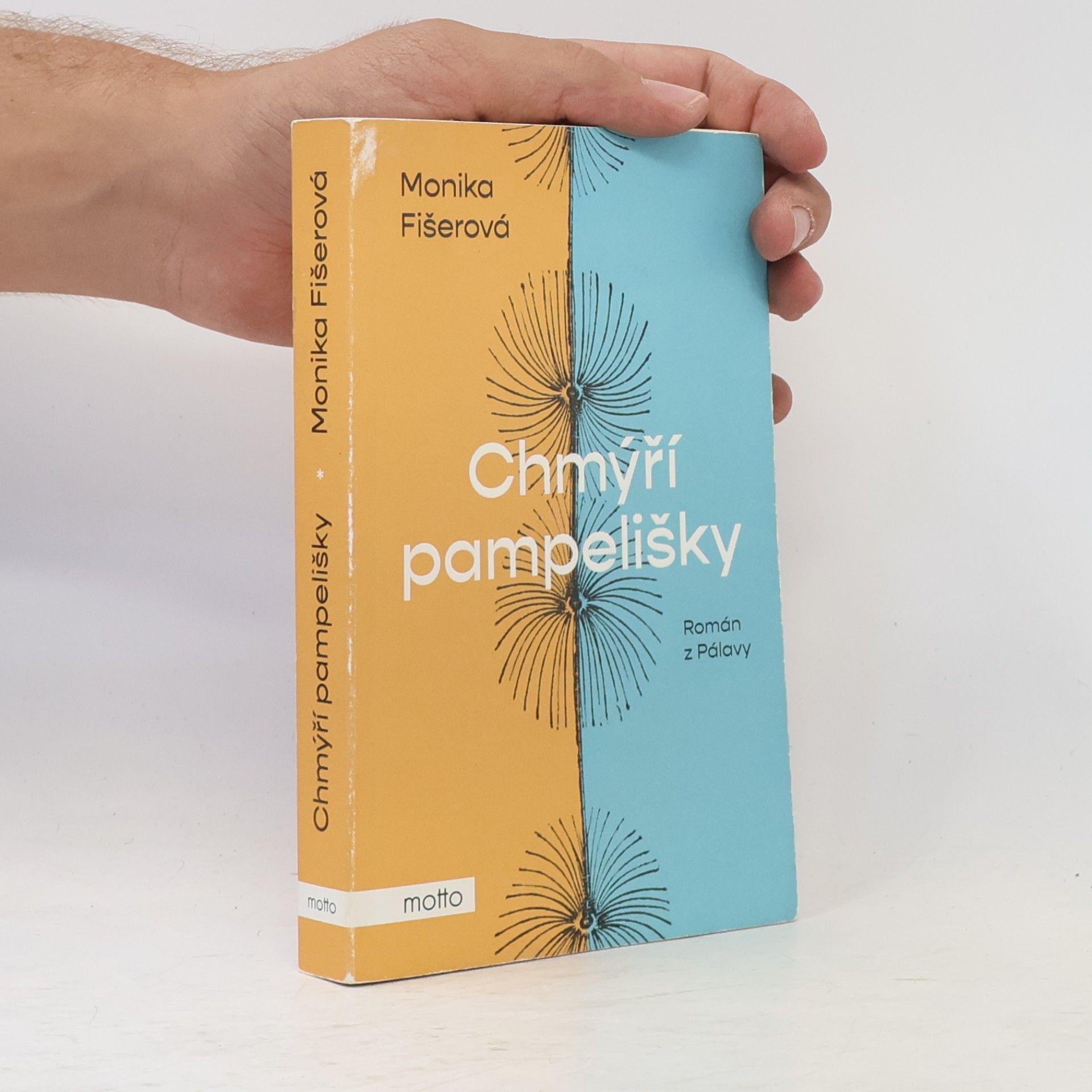 Monika Fišerová Chmýří pampelišky