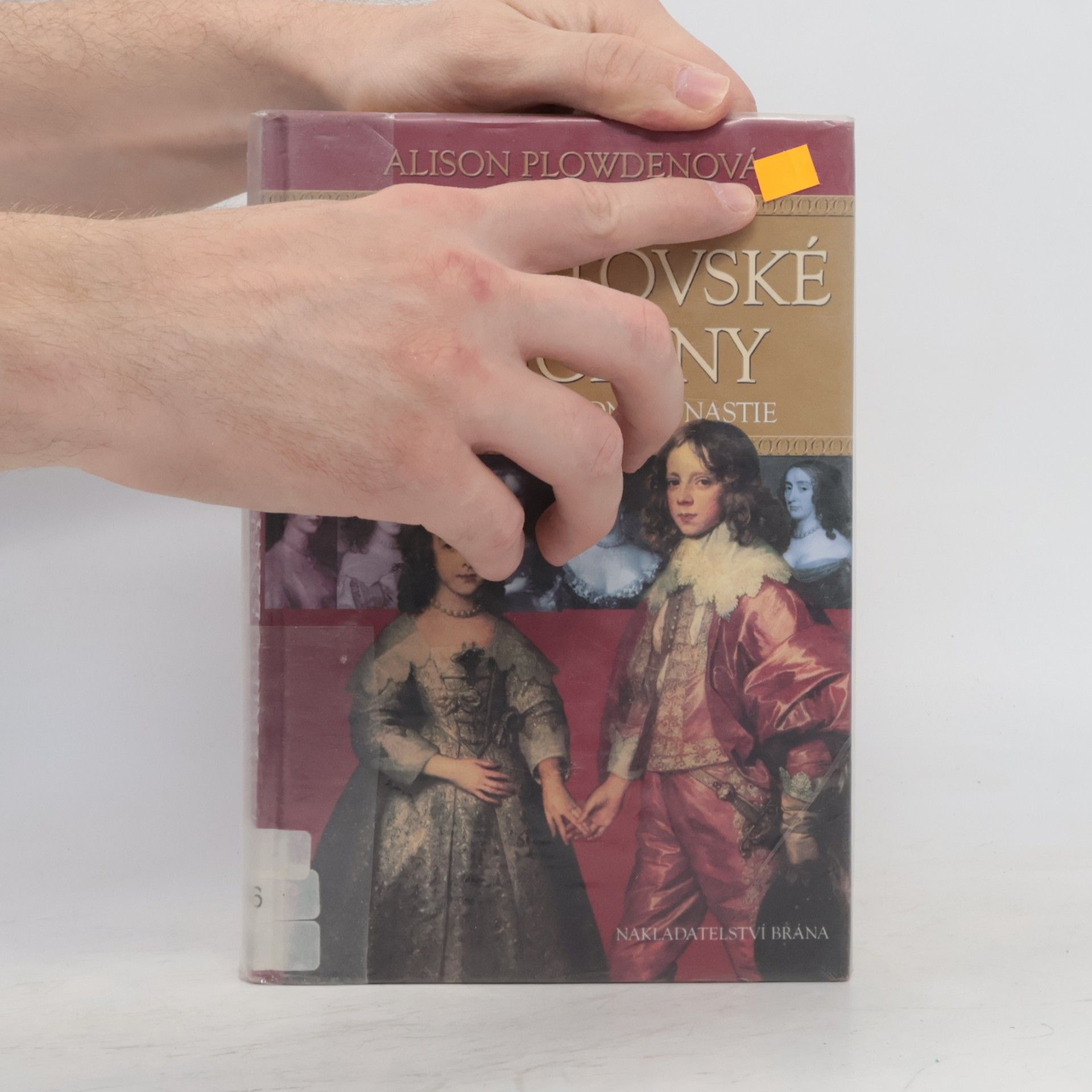 Alison Plowden Stuartovské princezny : vzestupy a pády jedné dynastie