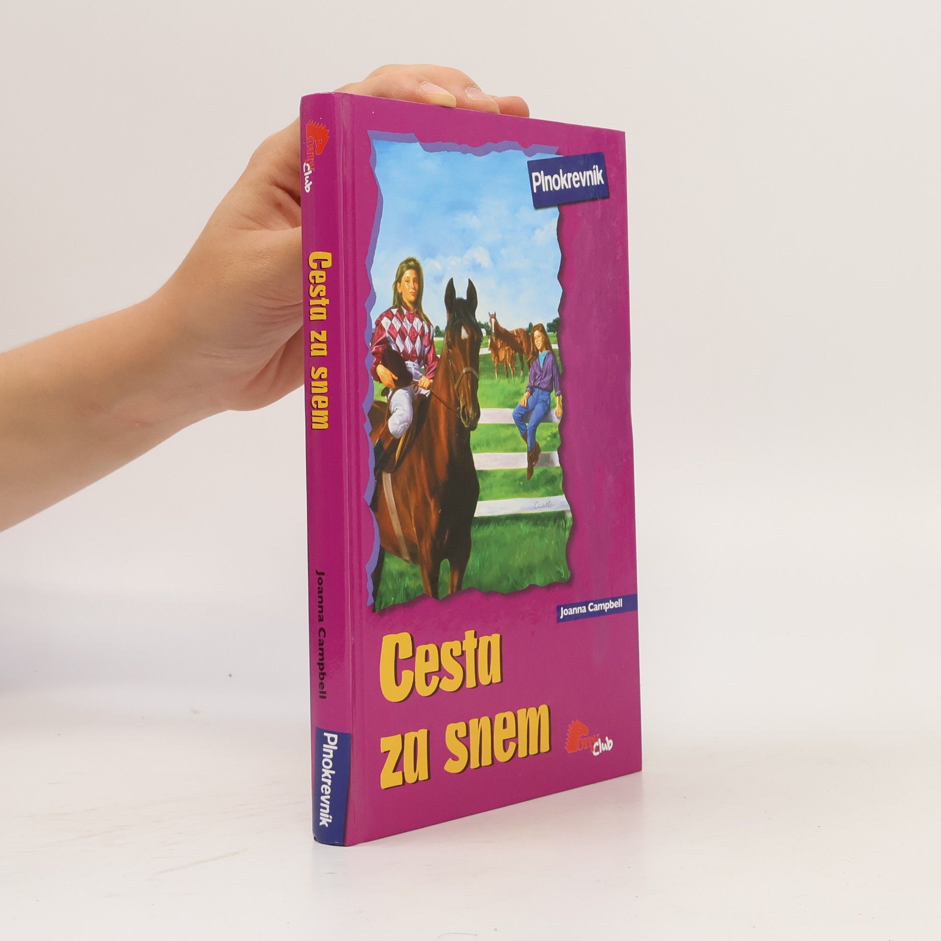 Jo Ann Simon Cesta za snem