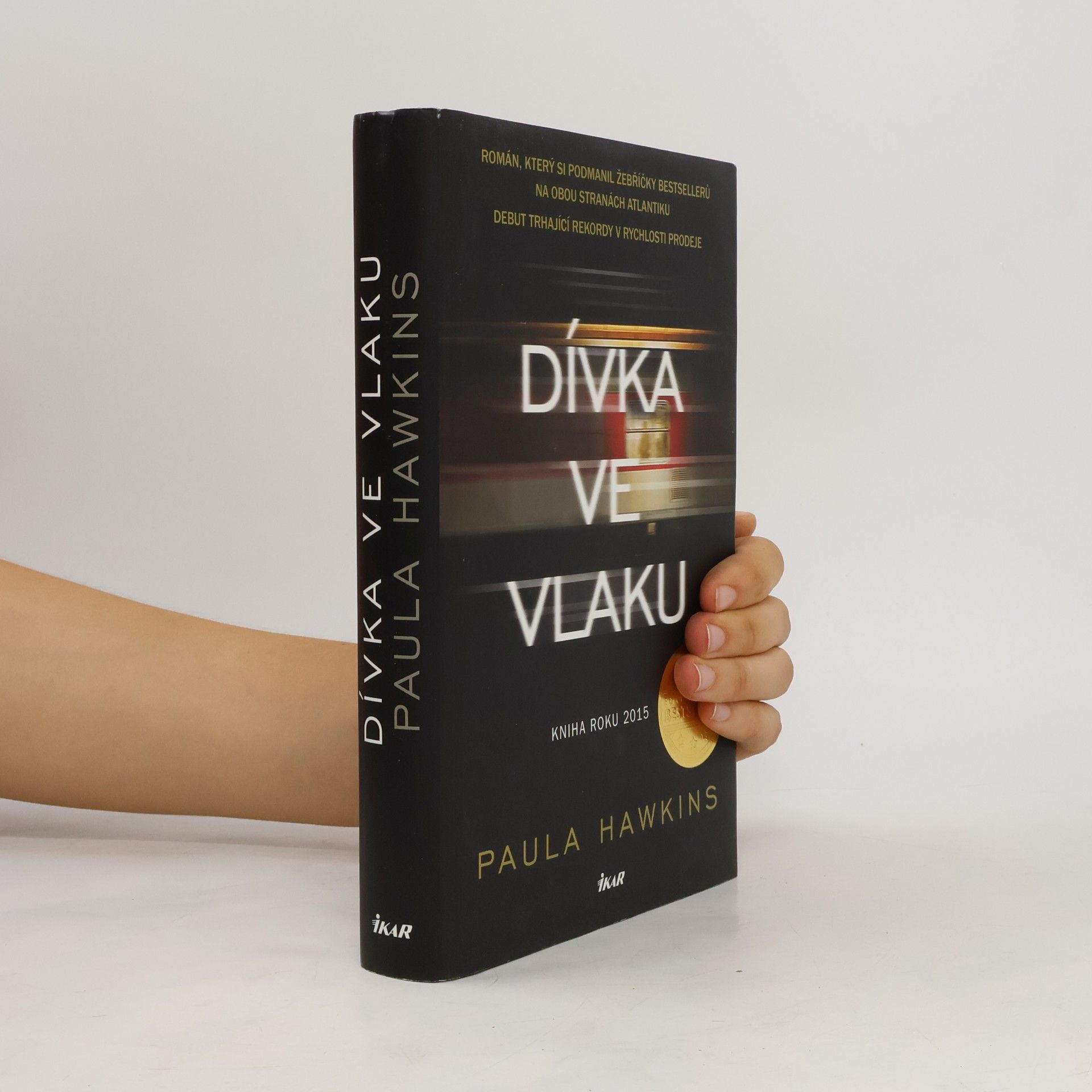 Dívka ve vlaku