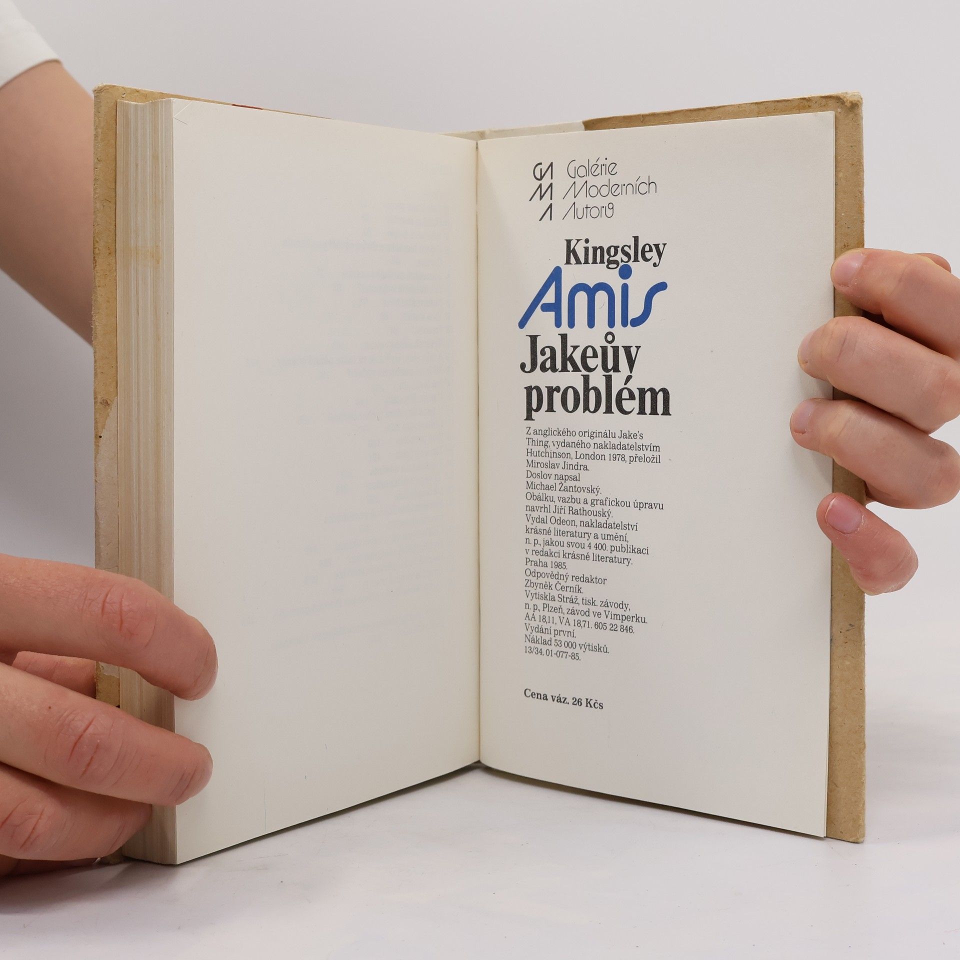 Kingsley Amis Jakeův problém