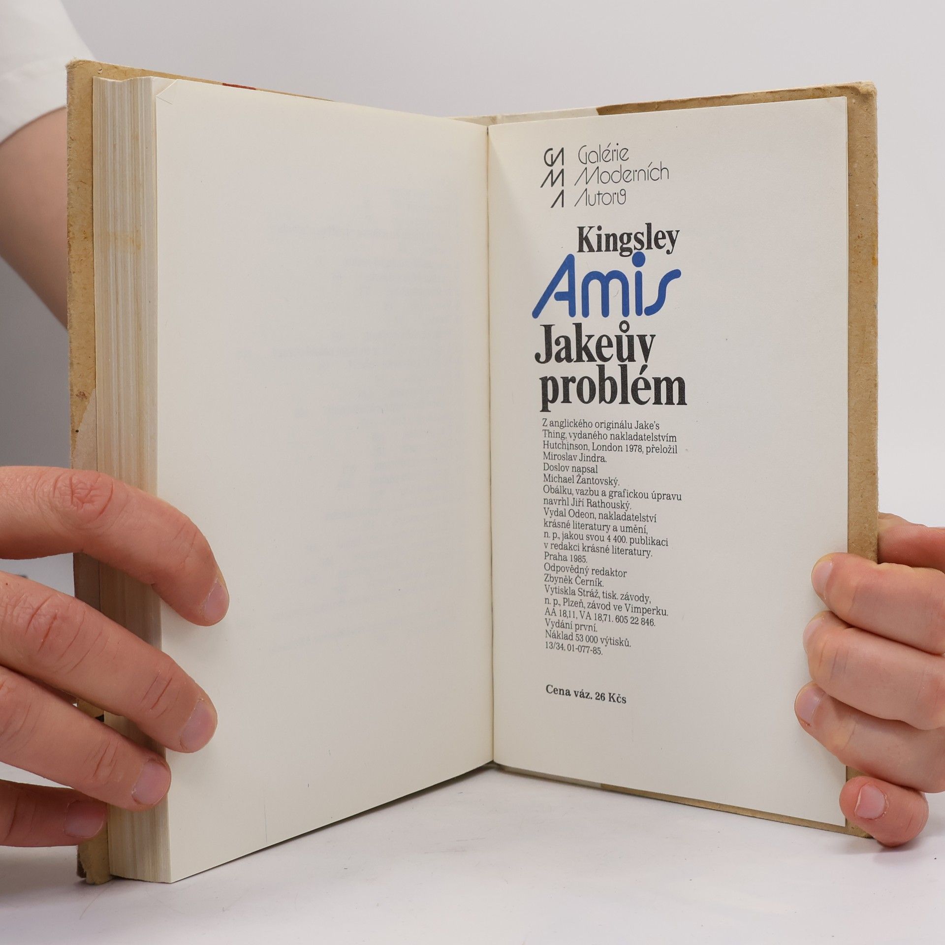Kingsley Amis Jakeův problém