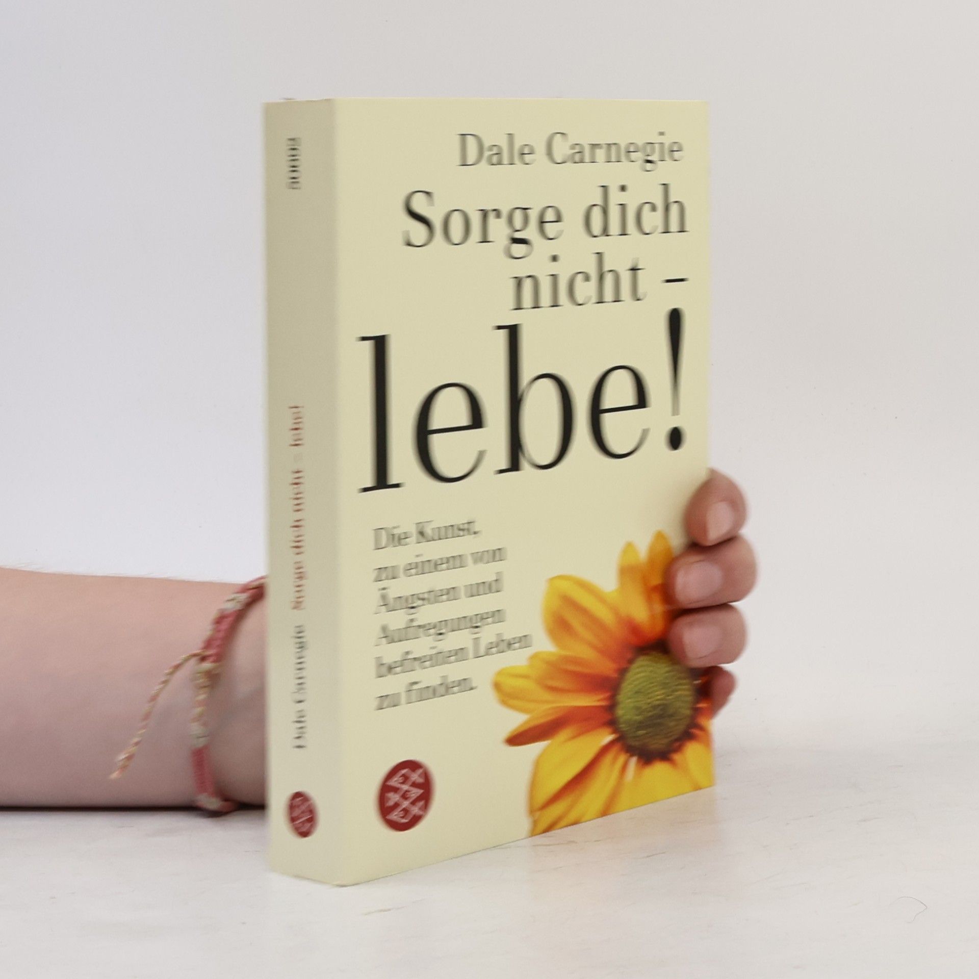 Dale Carnegie Sorge dich nicht - lebe!