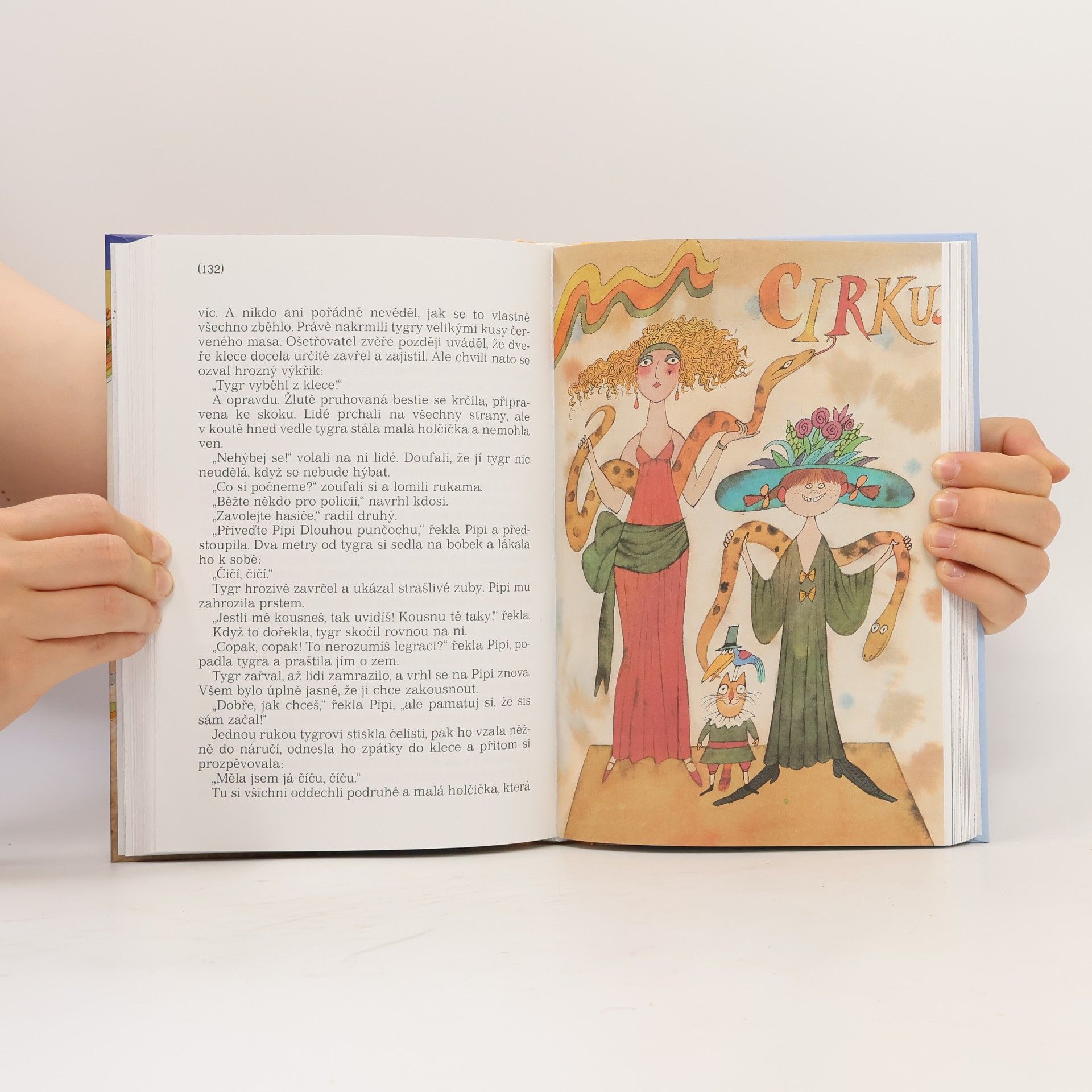 Astrid Lindgren Pipi Dlouhá punčocha