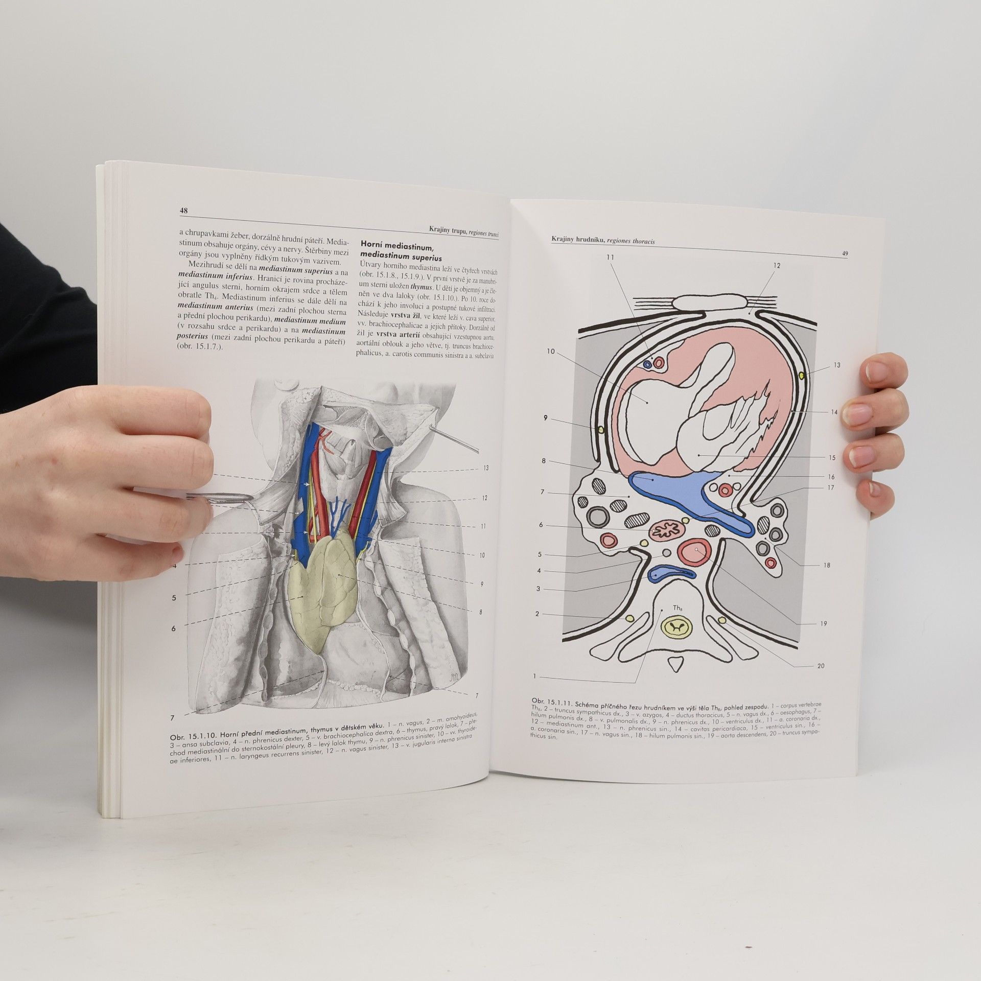 Miloš Grim Základy anatomie. 5., Anatomie krajin těla