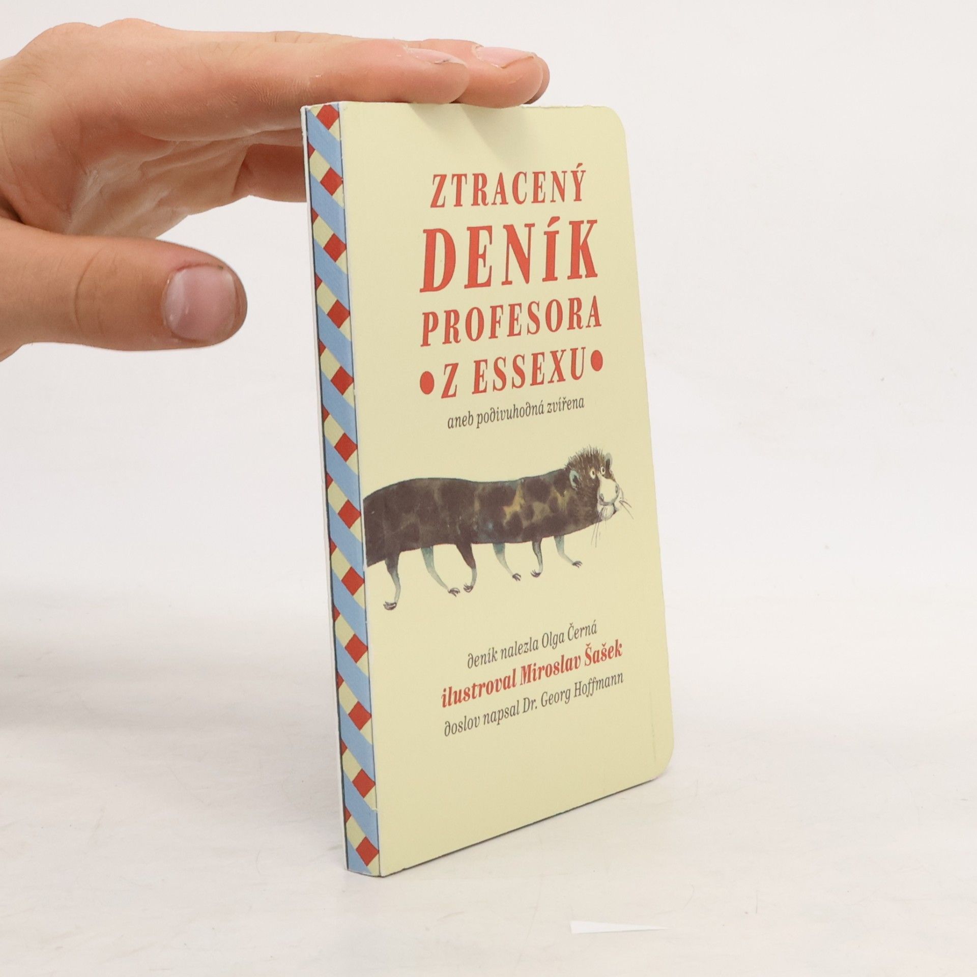 Georg Hoffmann Ztracený deník profesora z Essexu, aneb, Podivuhodná zvířena