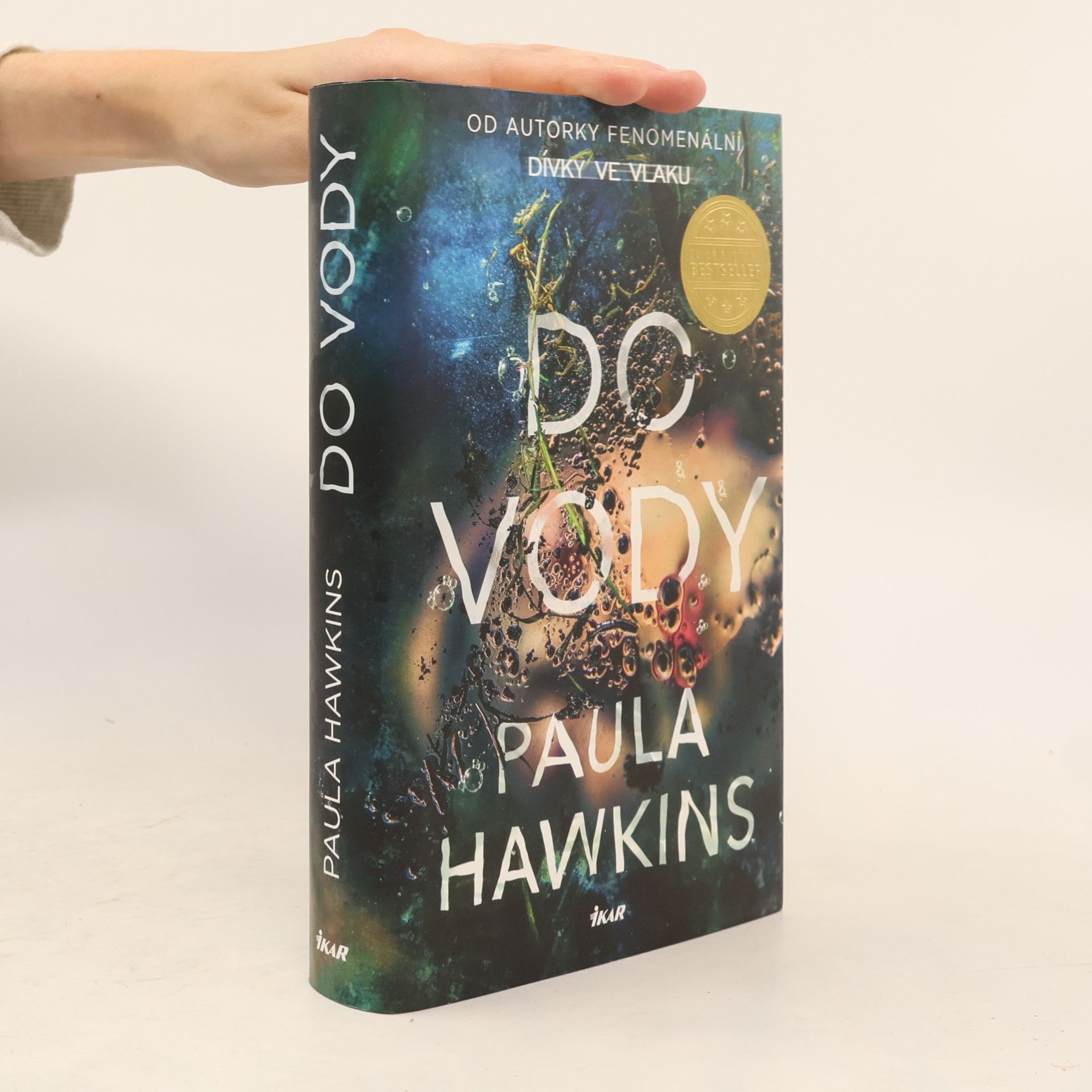 Paula Hawkins Do vody