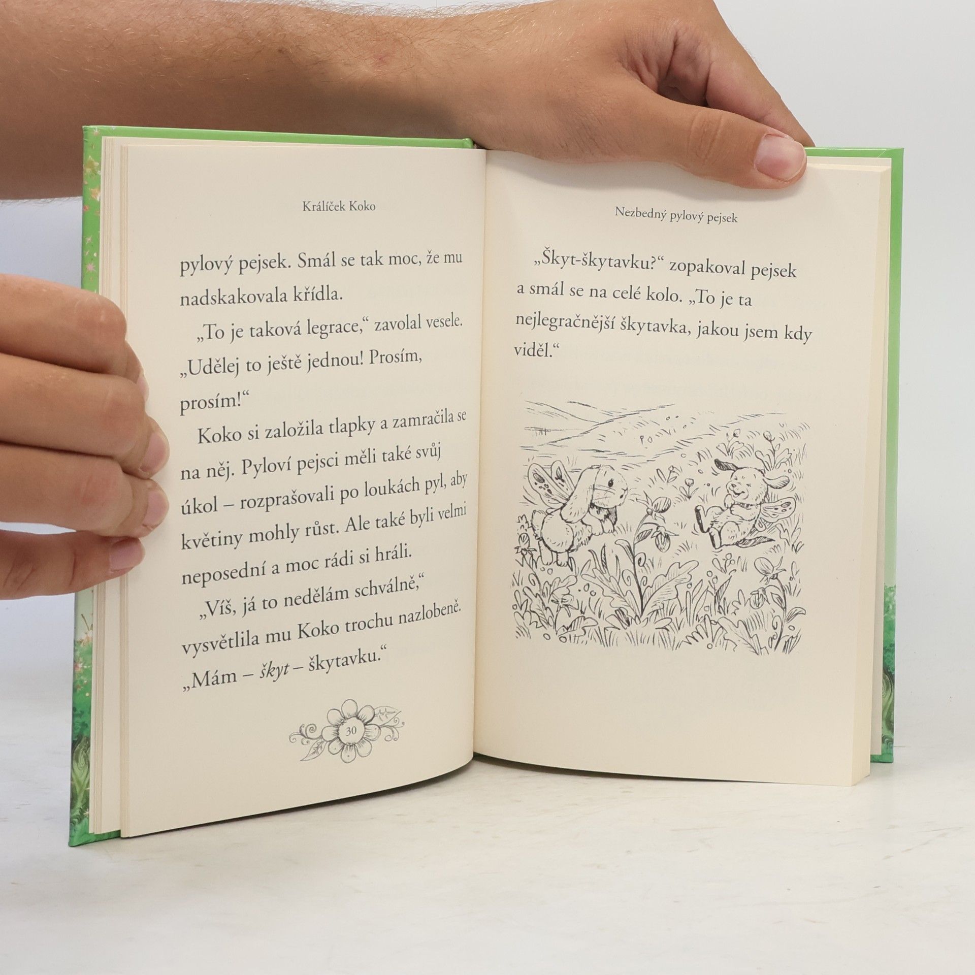 Lily Small Zvířátka z Kouzelného lesa: Králíček Koko