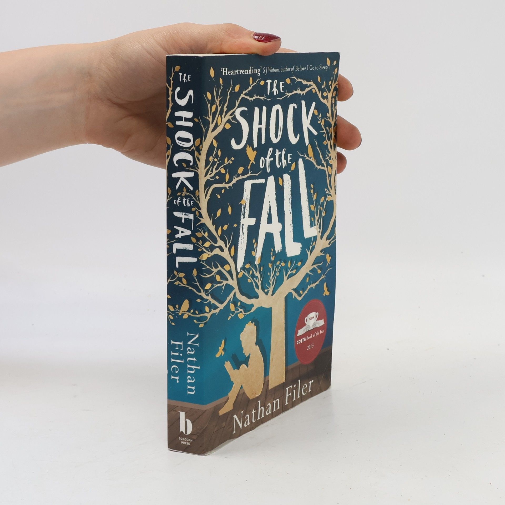 Nathan Filer The shock of the fall