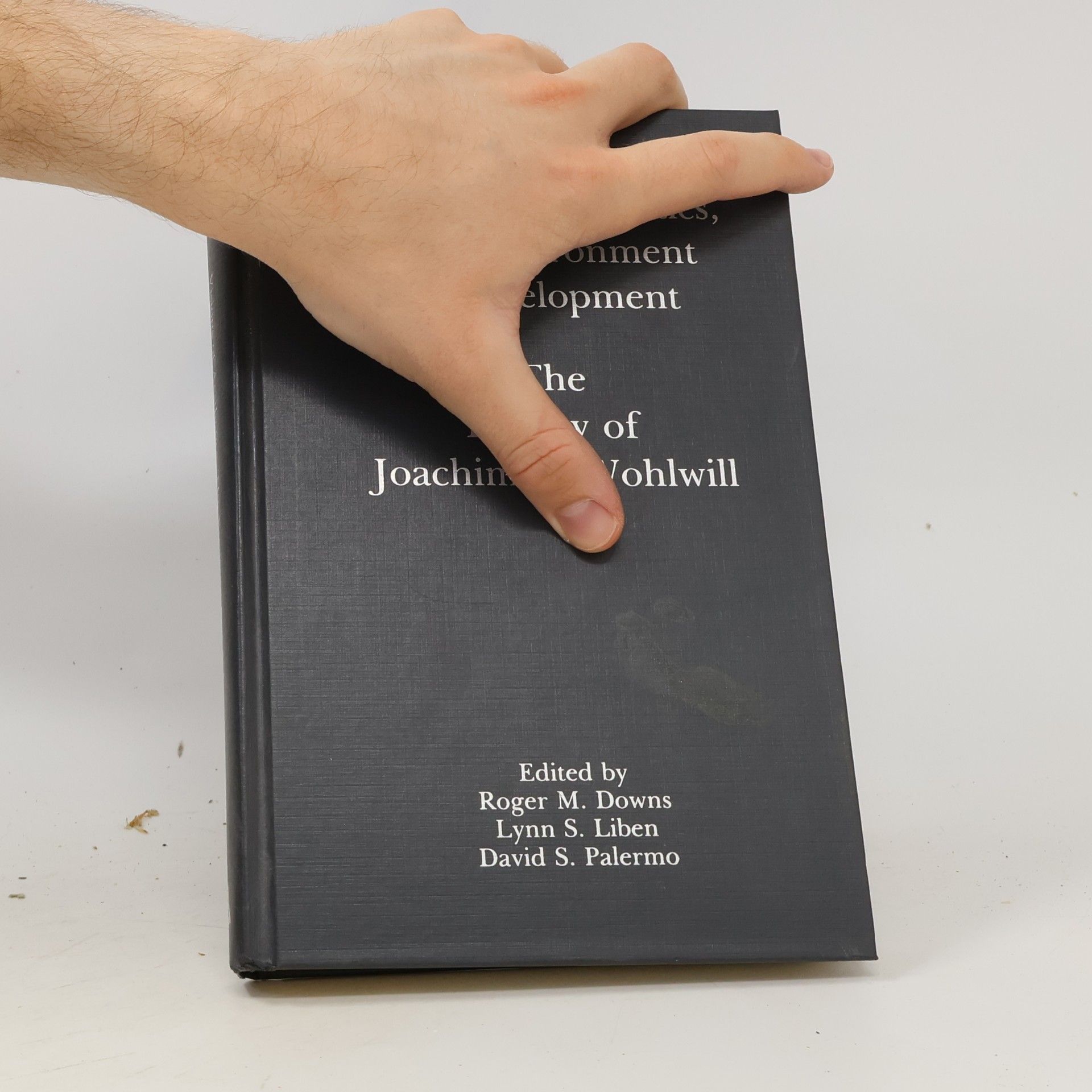 Lynn S Liben. Visions of Aesthetics, the Environment & Development