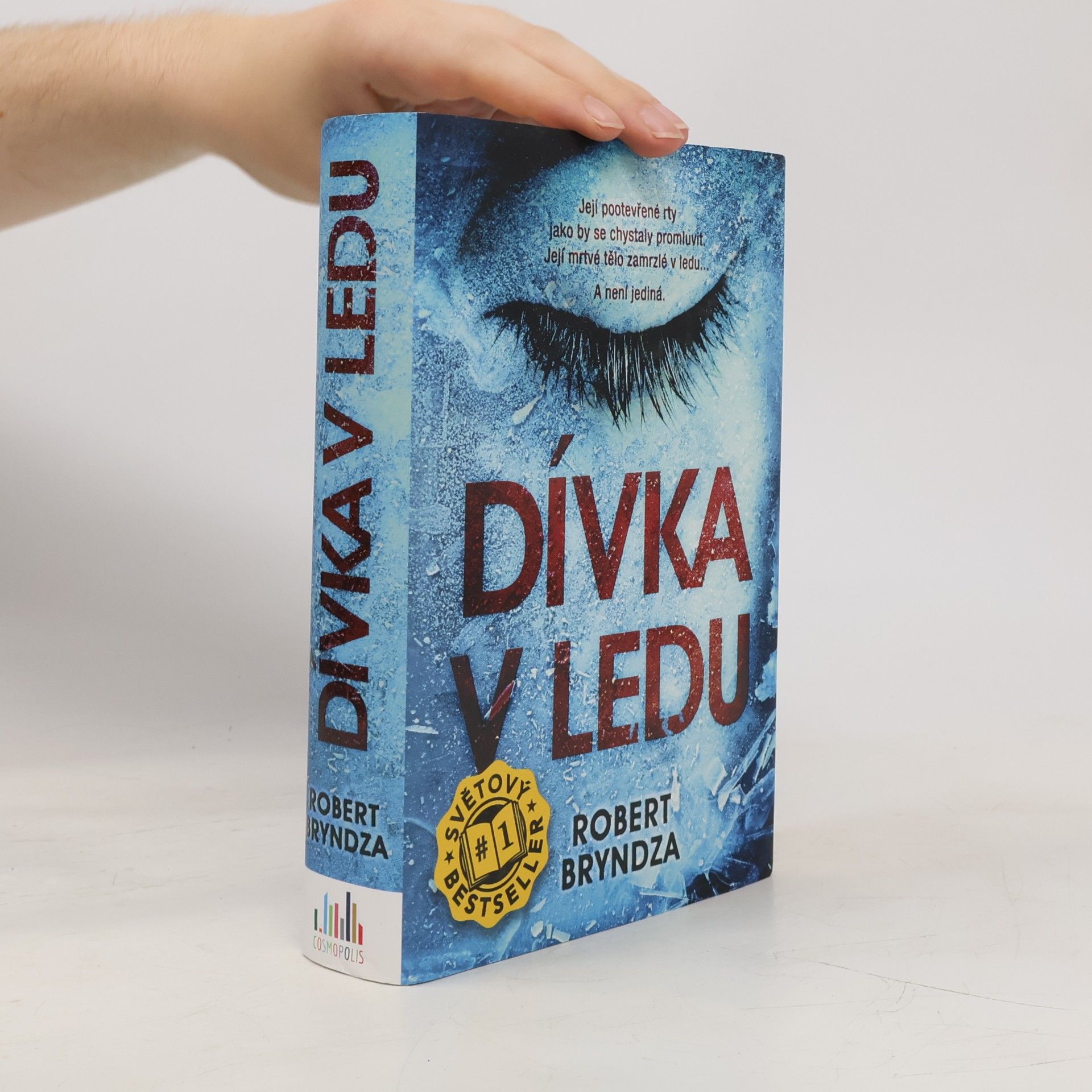 Robert Bryndza Dívka v ledu