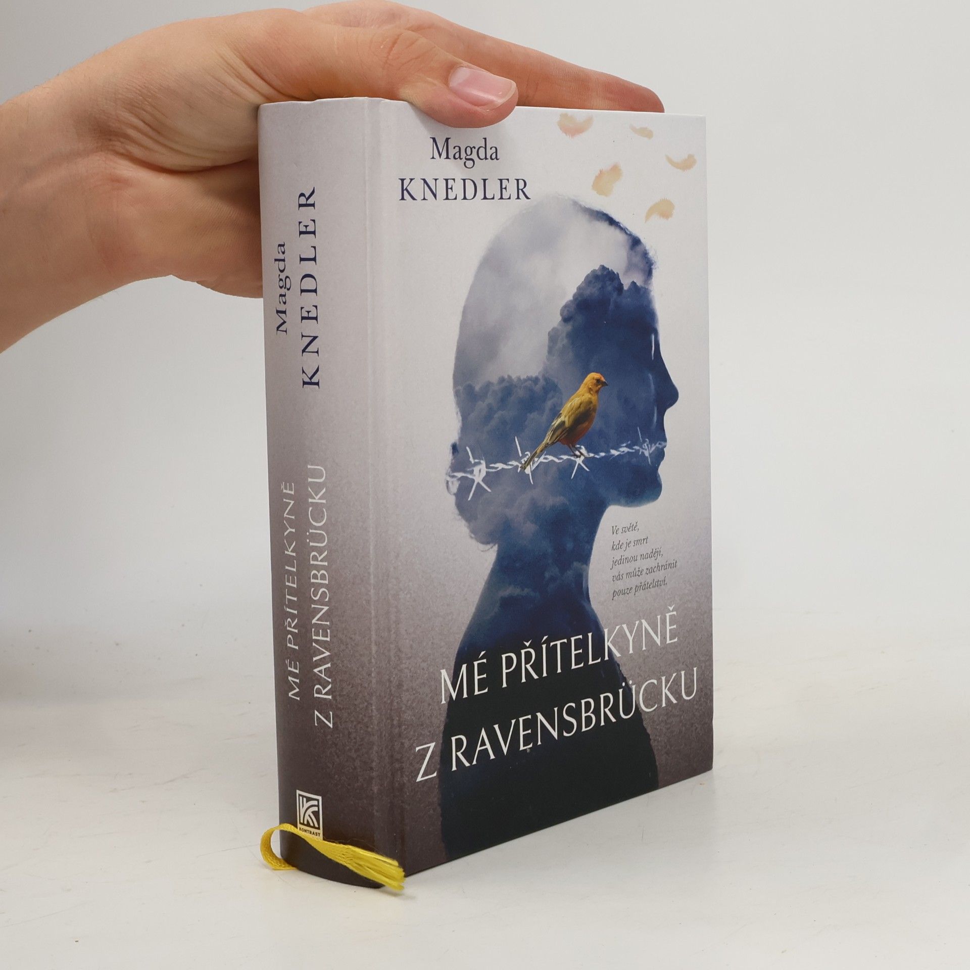 Magdalena Knedler Mé přítelkyně z Ravensbrücku