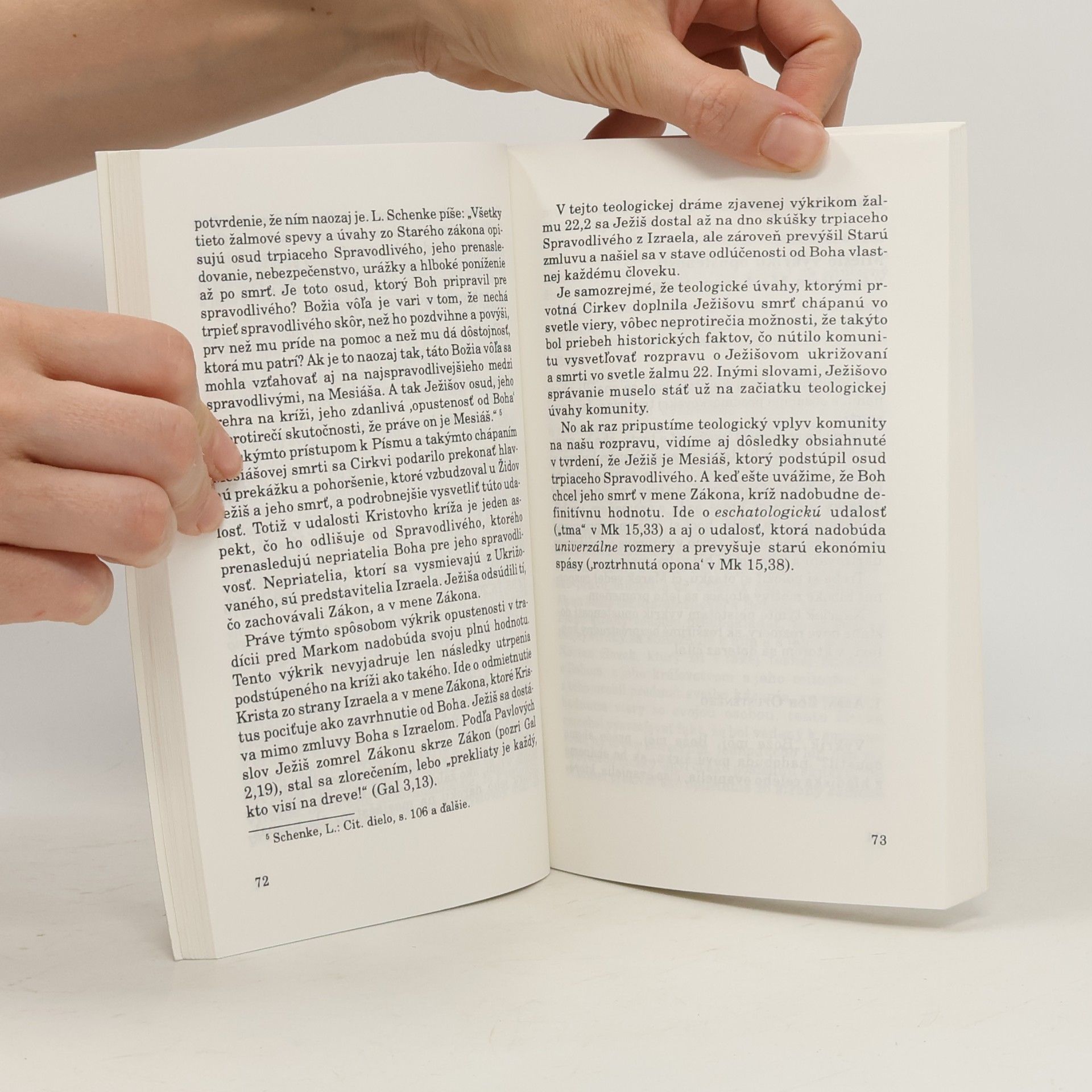 Štefan Vagovič Ježišov výkrik na kríži : teologický a exegetický pohľad