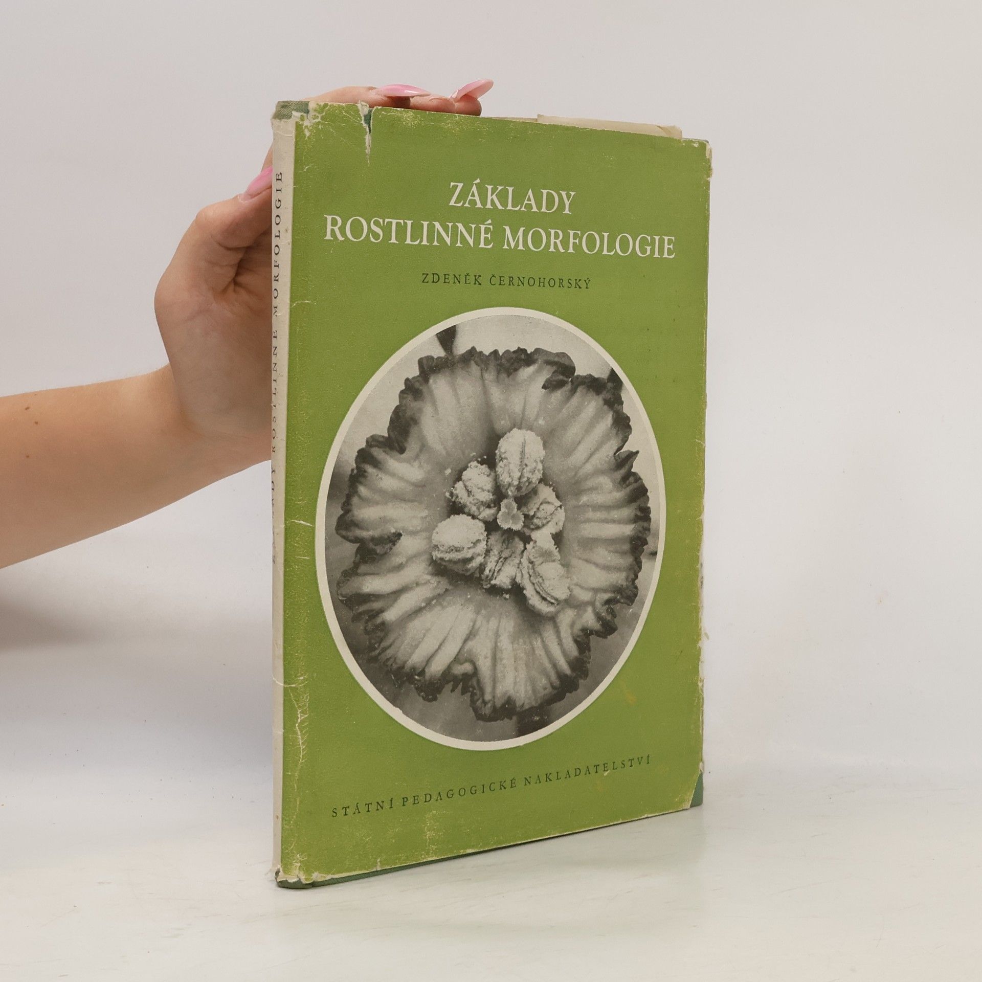 Zdeněk Černohorský Základy rostlinné morfologie