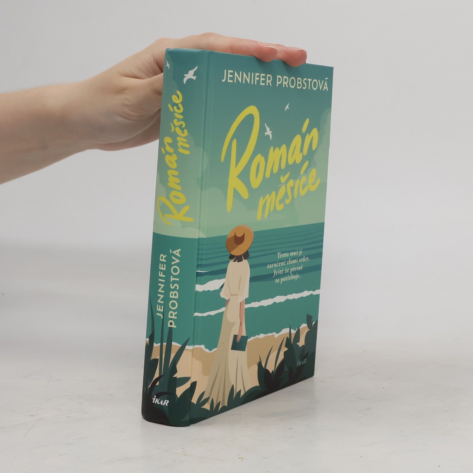 Jennifer Probst Román měsíce