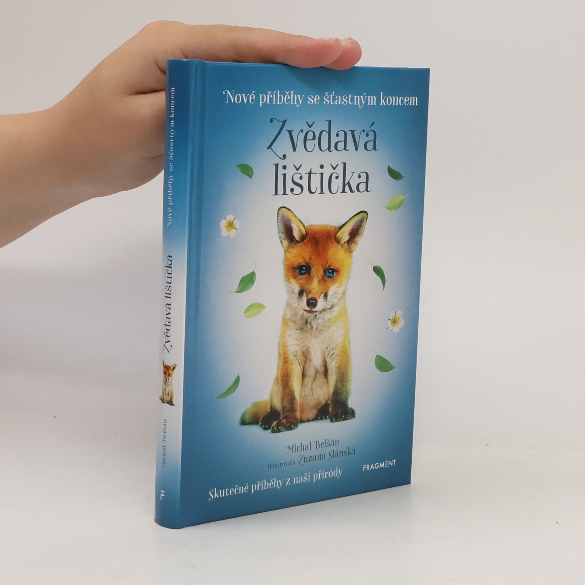 Zvědavá lištička