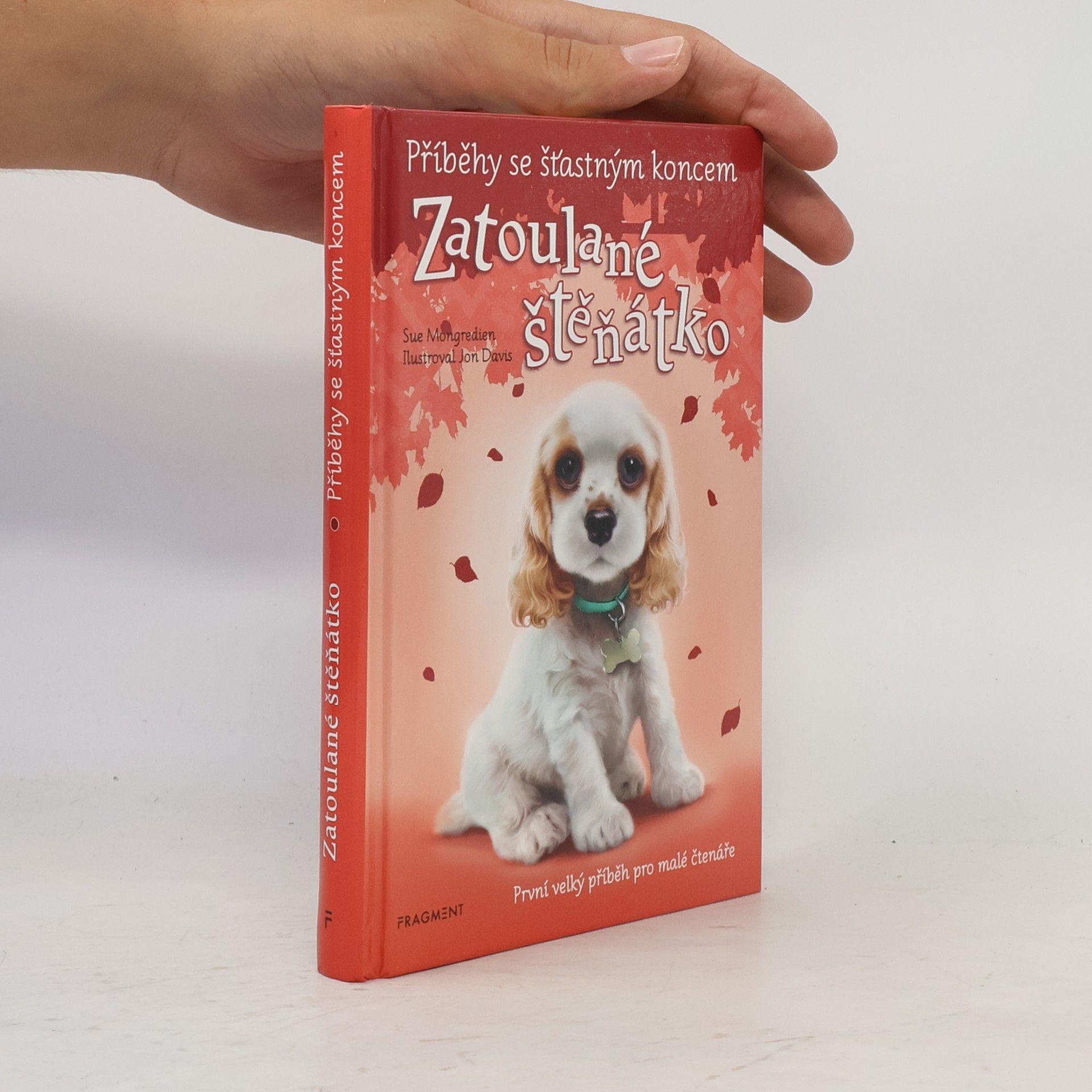 Lucy Diamond Zatoulané štěňátko