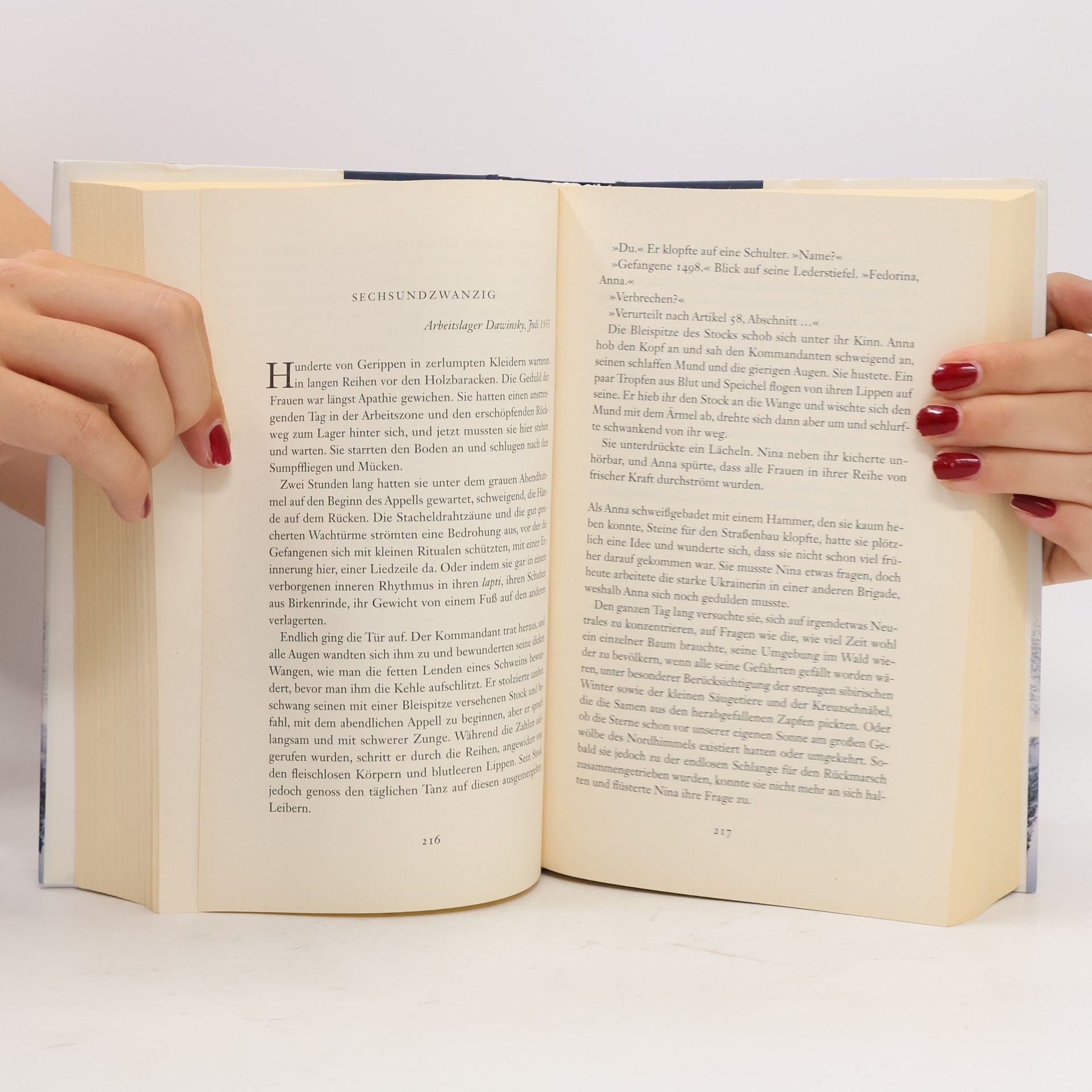 Kate Furnivall Bis ans Ende des Himmels