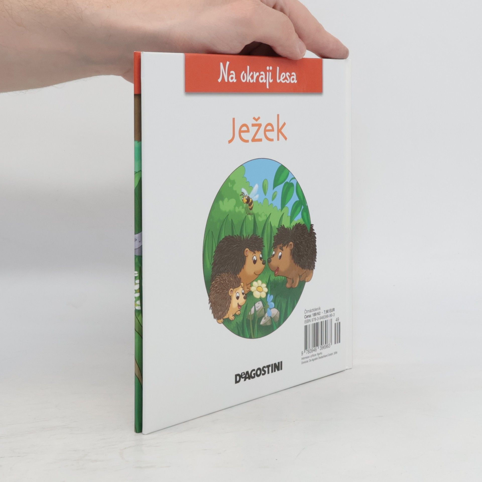 Kolektiv autorů Na kraji lesa 8. Ježek