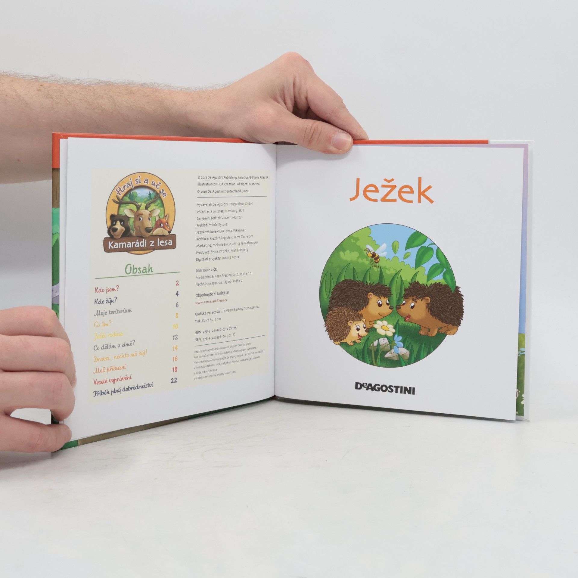 Kolektiv autorů Na kraji lesa 8. Ježek