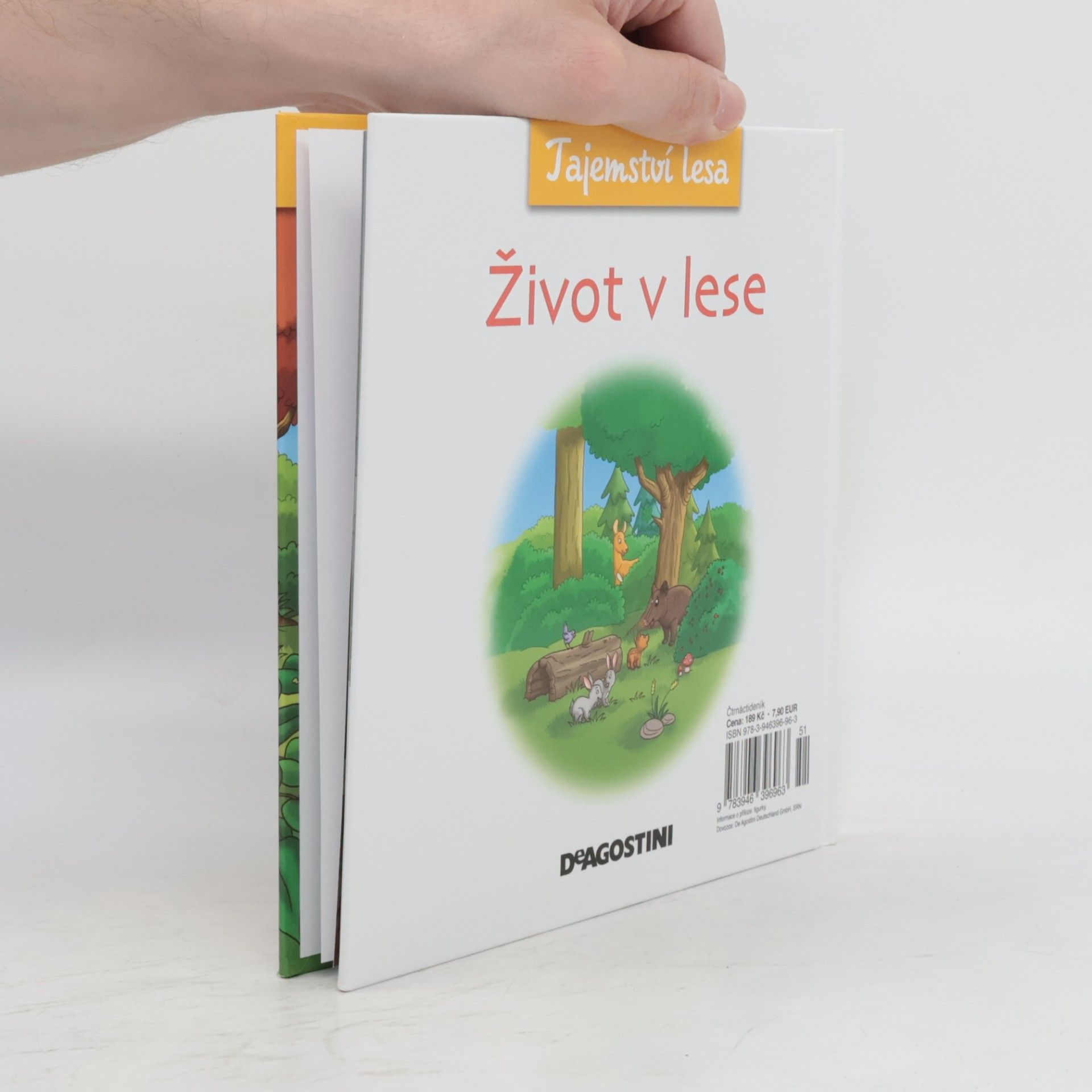 Collectif d'auteurs Tajemství lesa 9. Život v lese