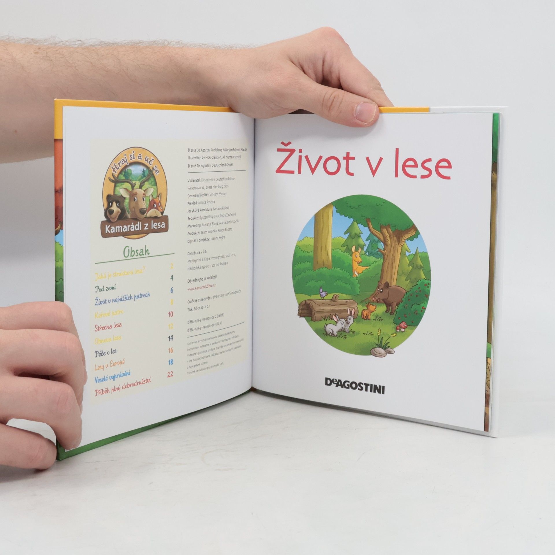 Collectif d'auteurs Tajemství lesa 9. Život v lese