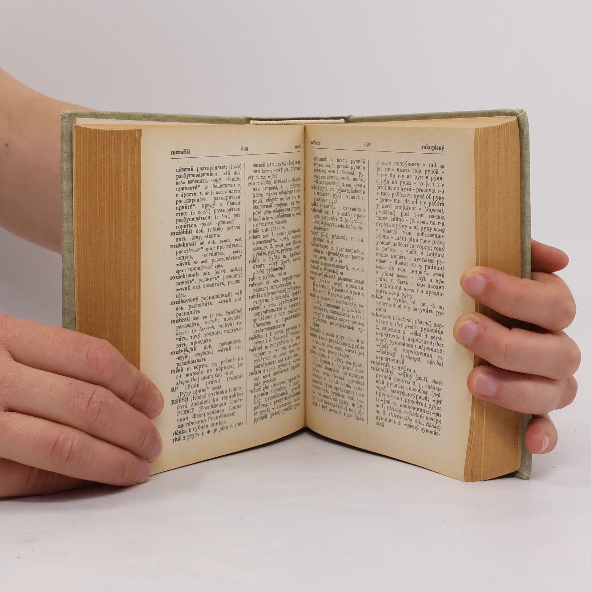 Various authors Česko-ruský slovník