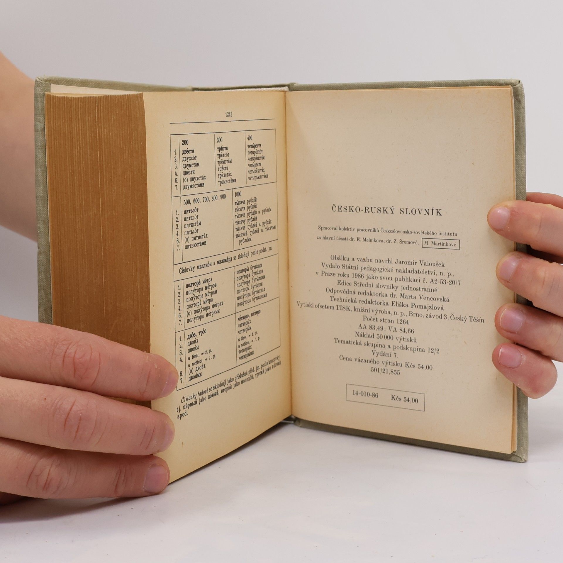 Various authors Česko-ruský slovník