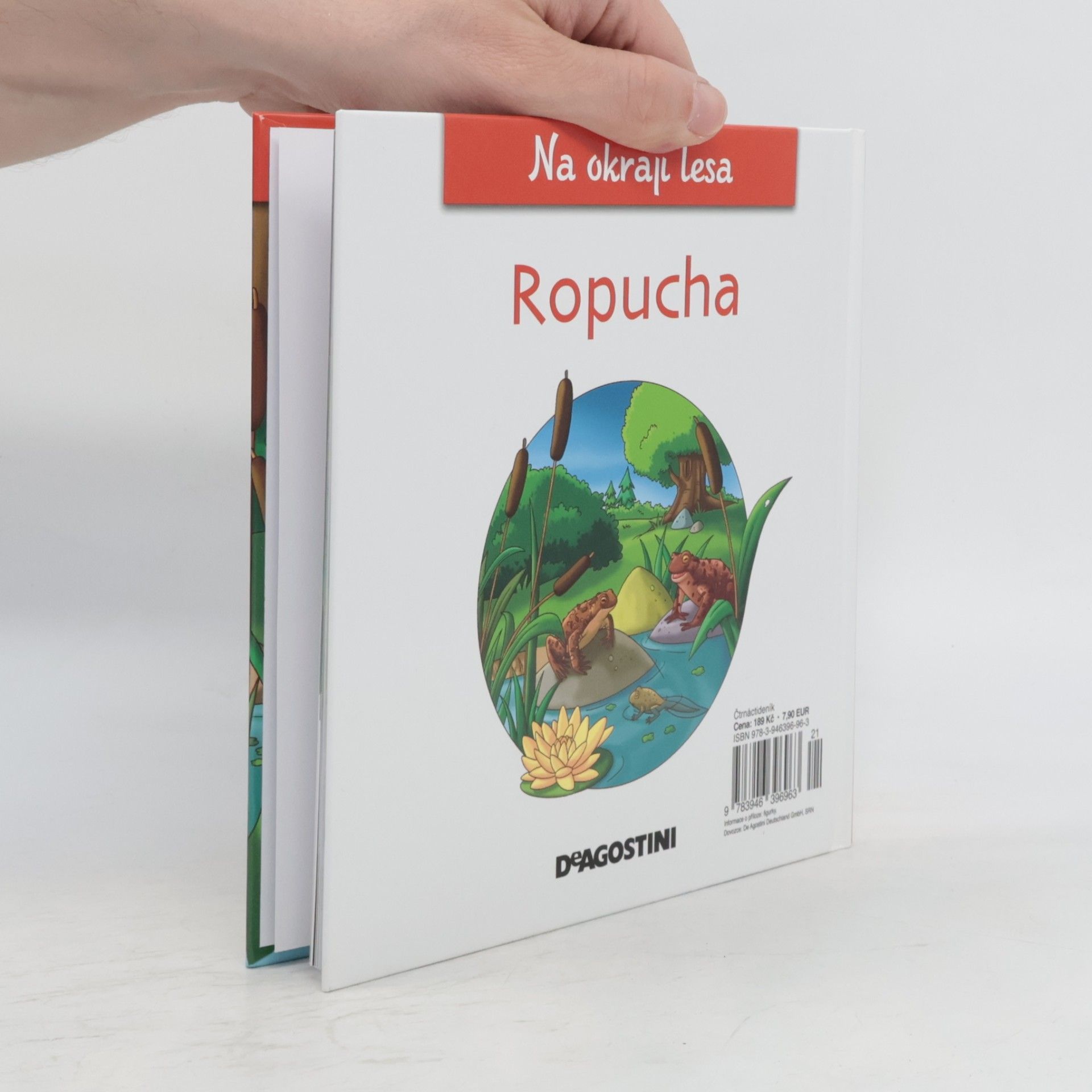 Kolektiv autorů Na okraji lesa 20. Ropucha
