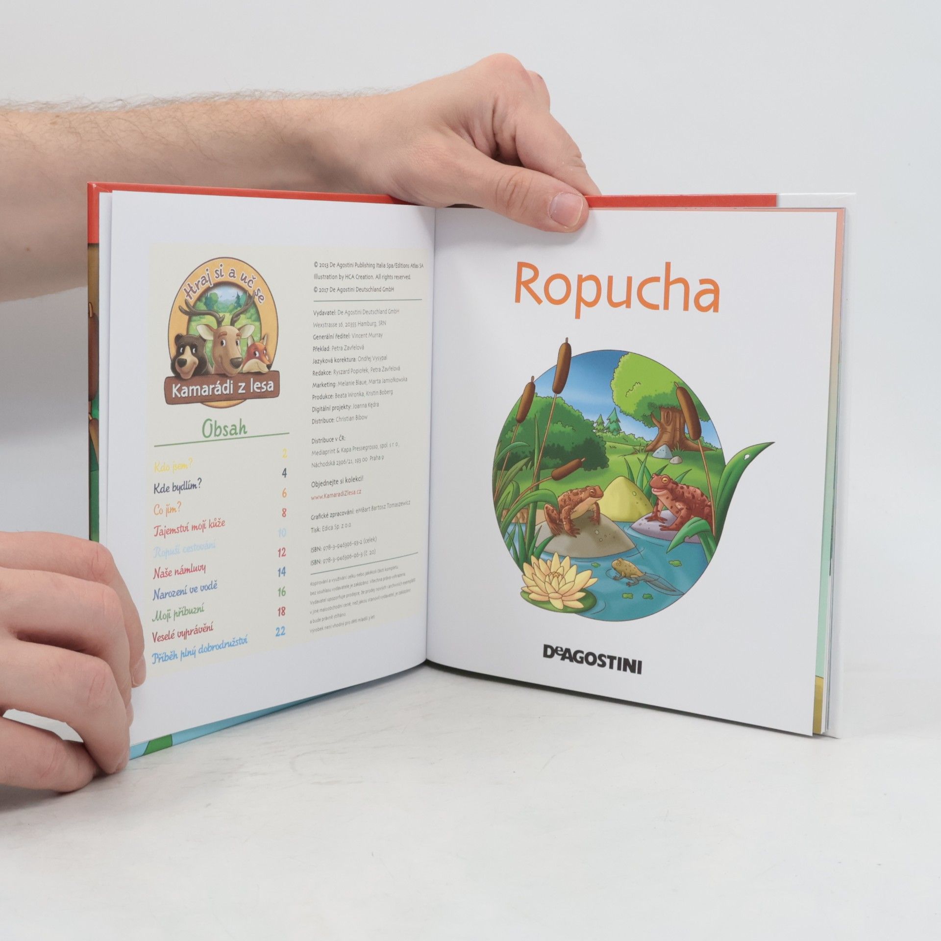 Kolektiv autorů Na okraji lesa 20. Ropucha