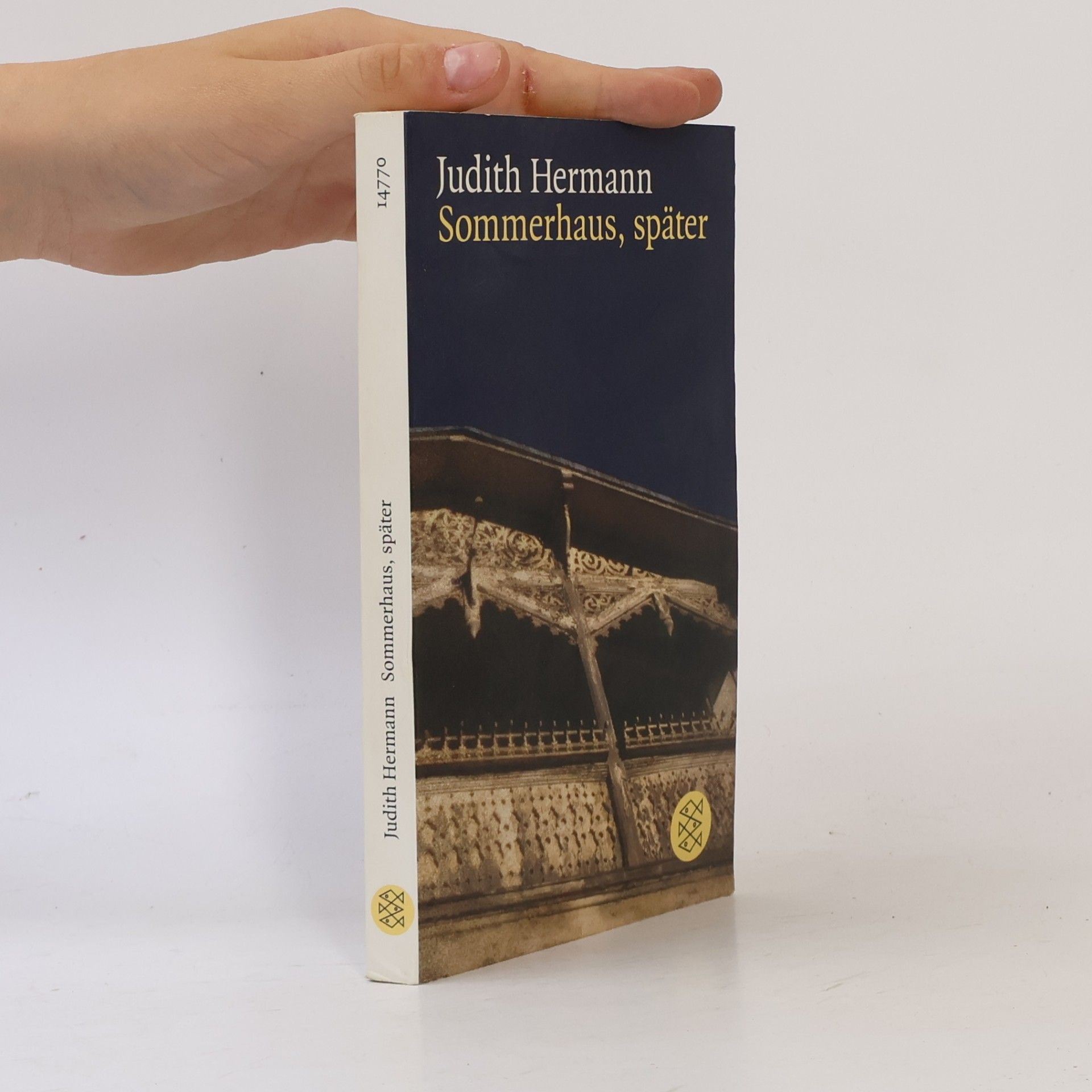 Judith Hermann Sommerhaus, später : Erzählungen