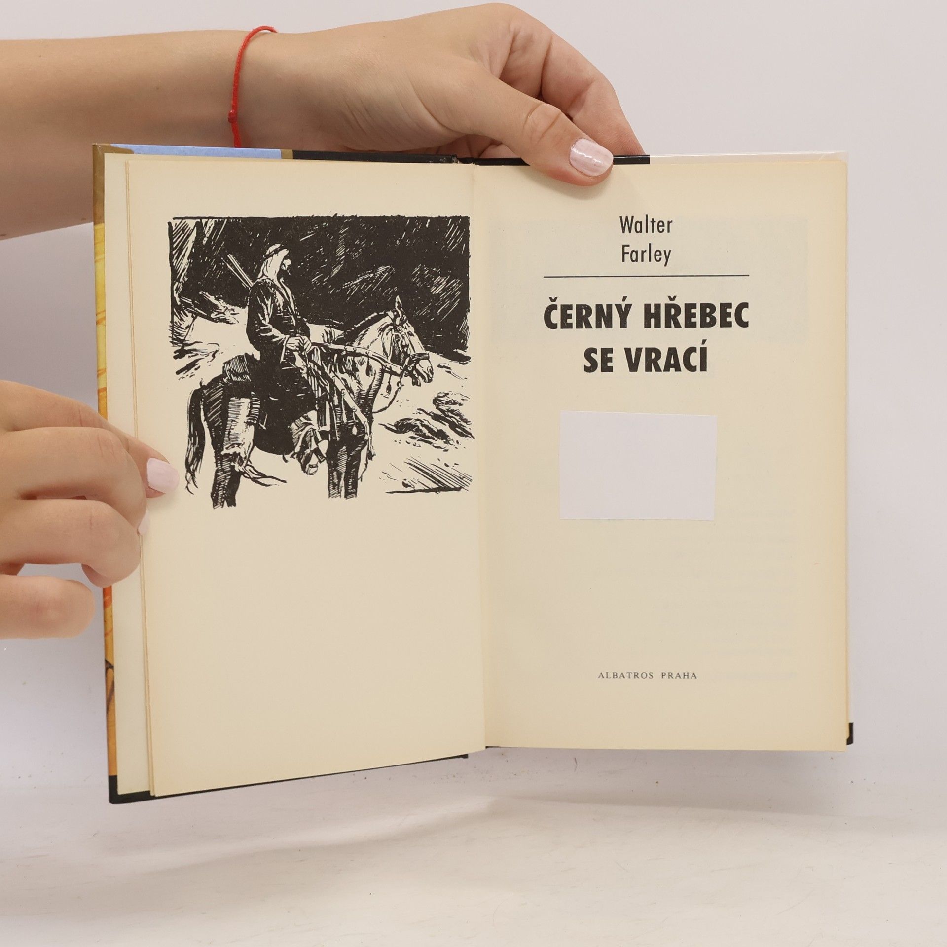 Walter Farley Černý hřebec se vrací