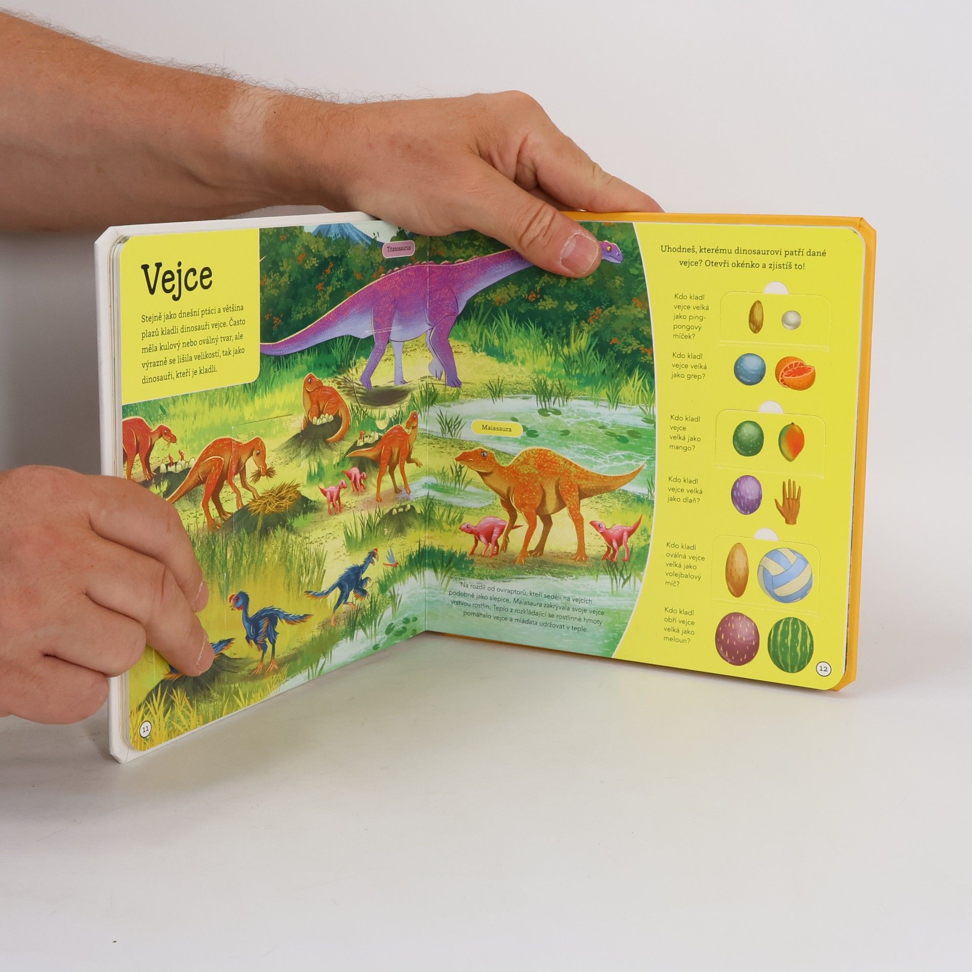 Rebecca Kealy Obávaní dinosauři