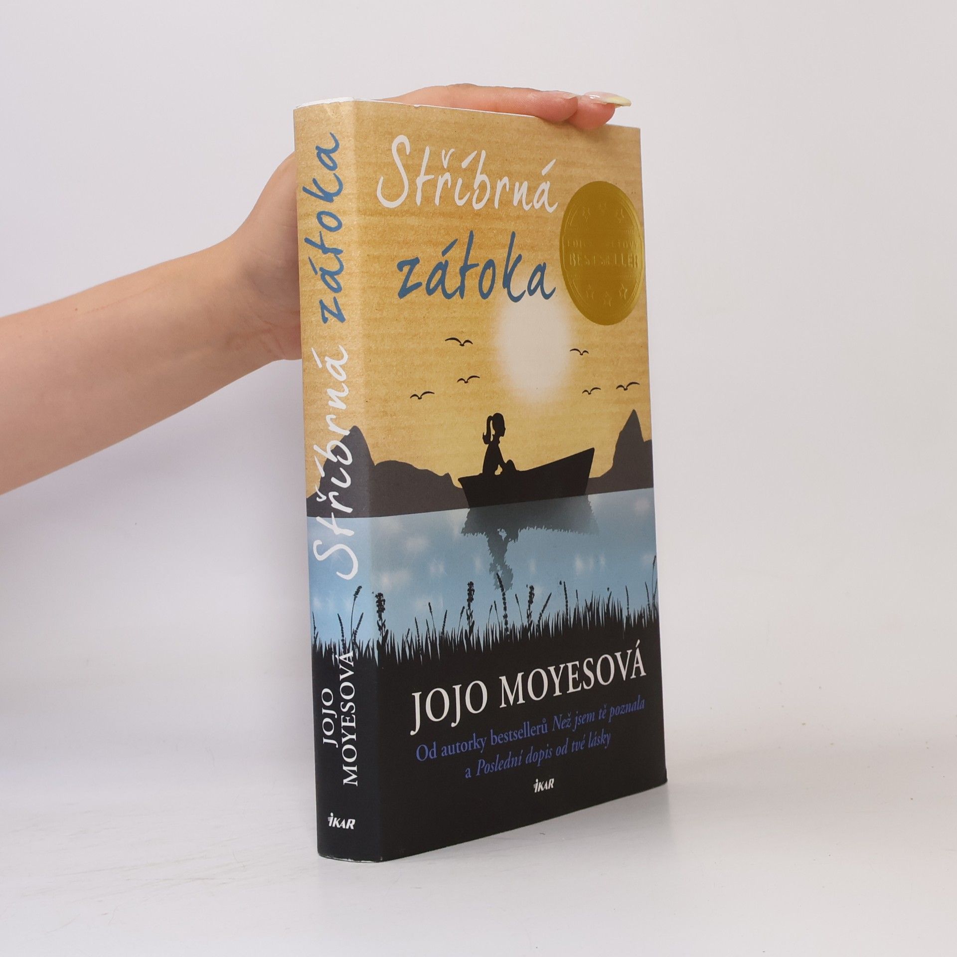 Jojo Moyes Stříbrná zátoka