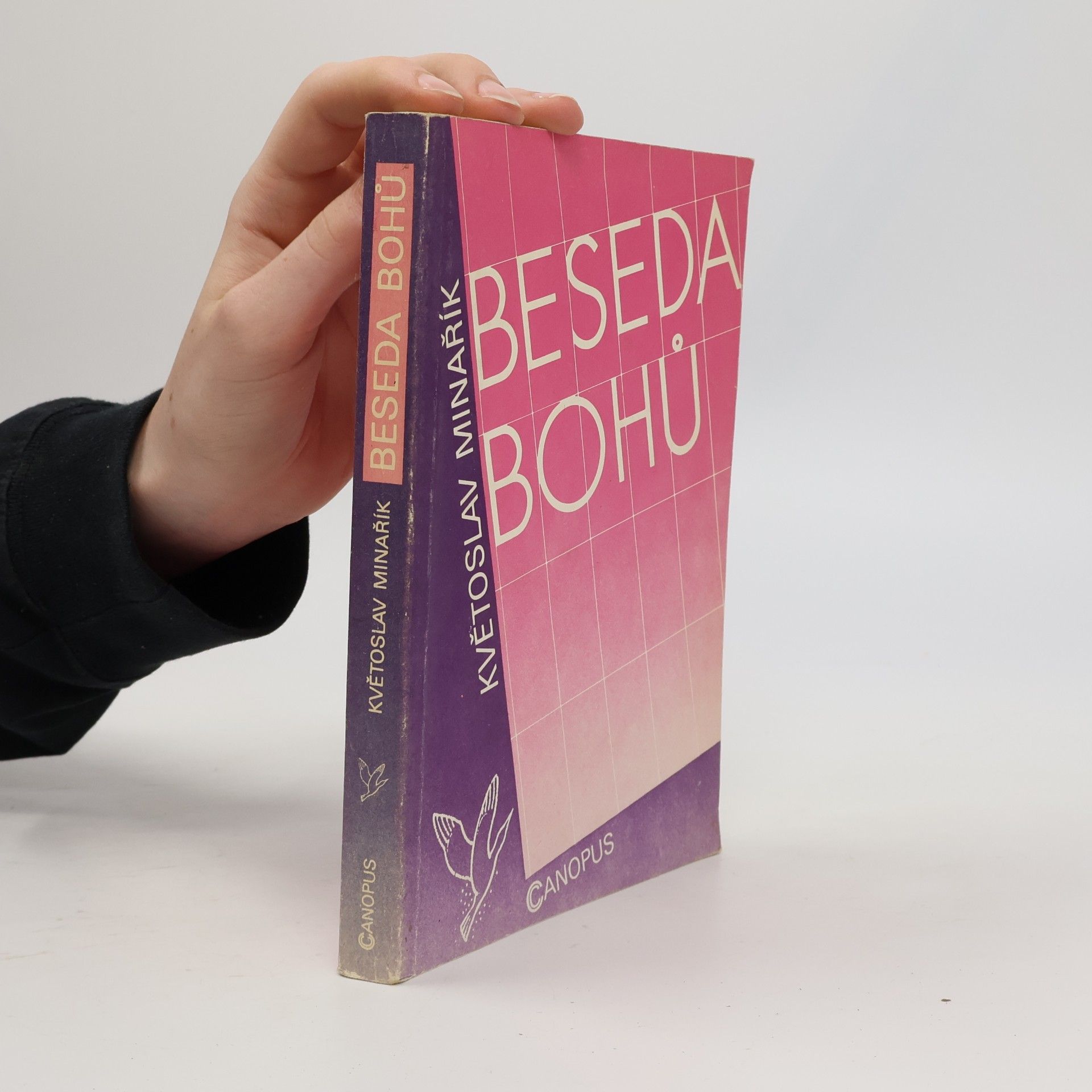 Květoslav Minařík Beseda bohů