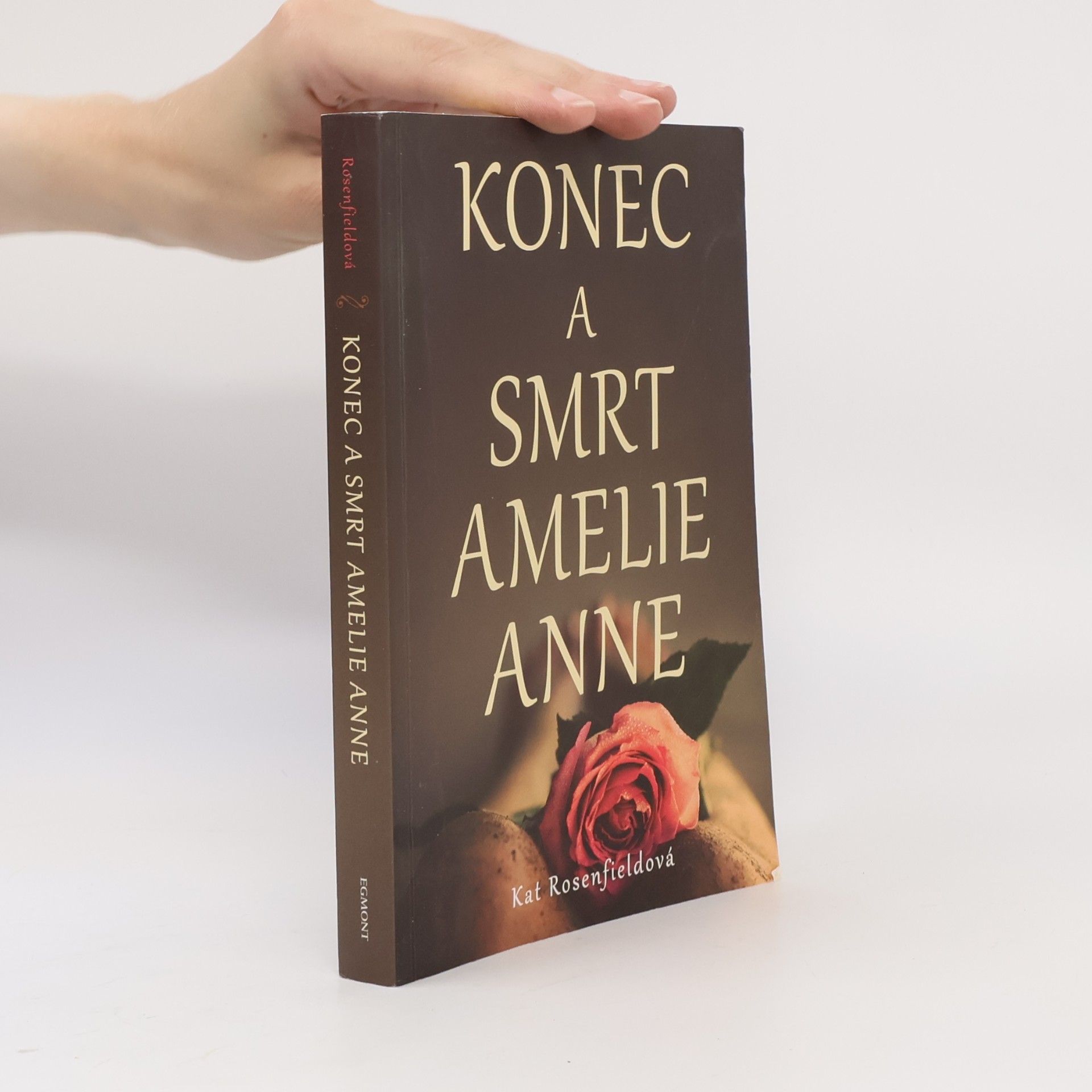 Kat Rosenfield Konec a smrt Amelie Anne