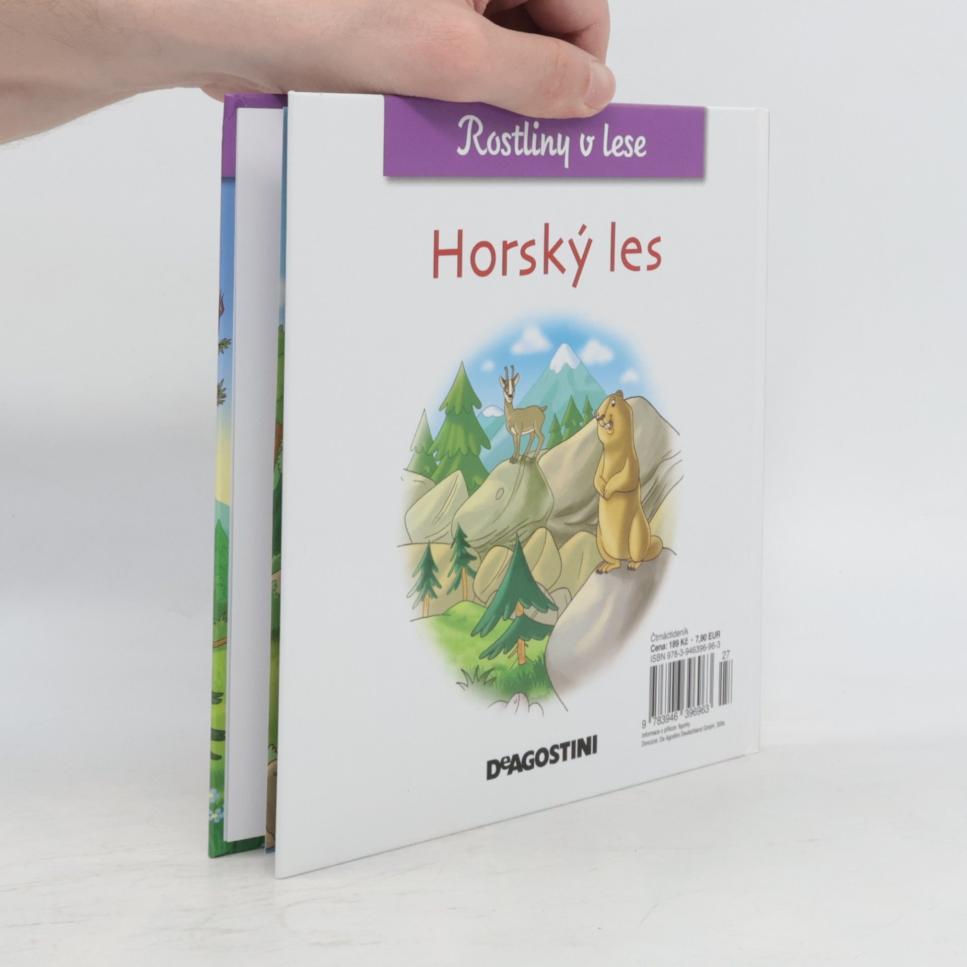Various authors Rostliny v lese 23. Horský les